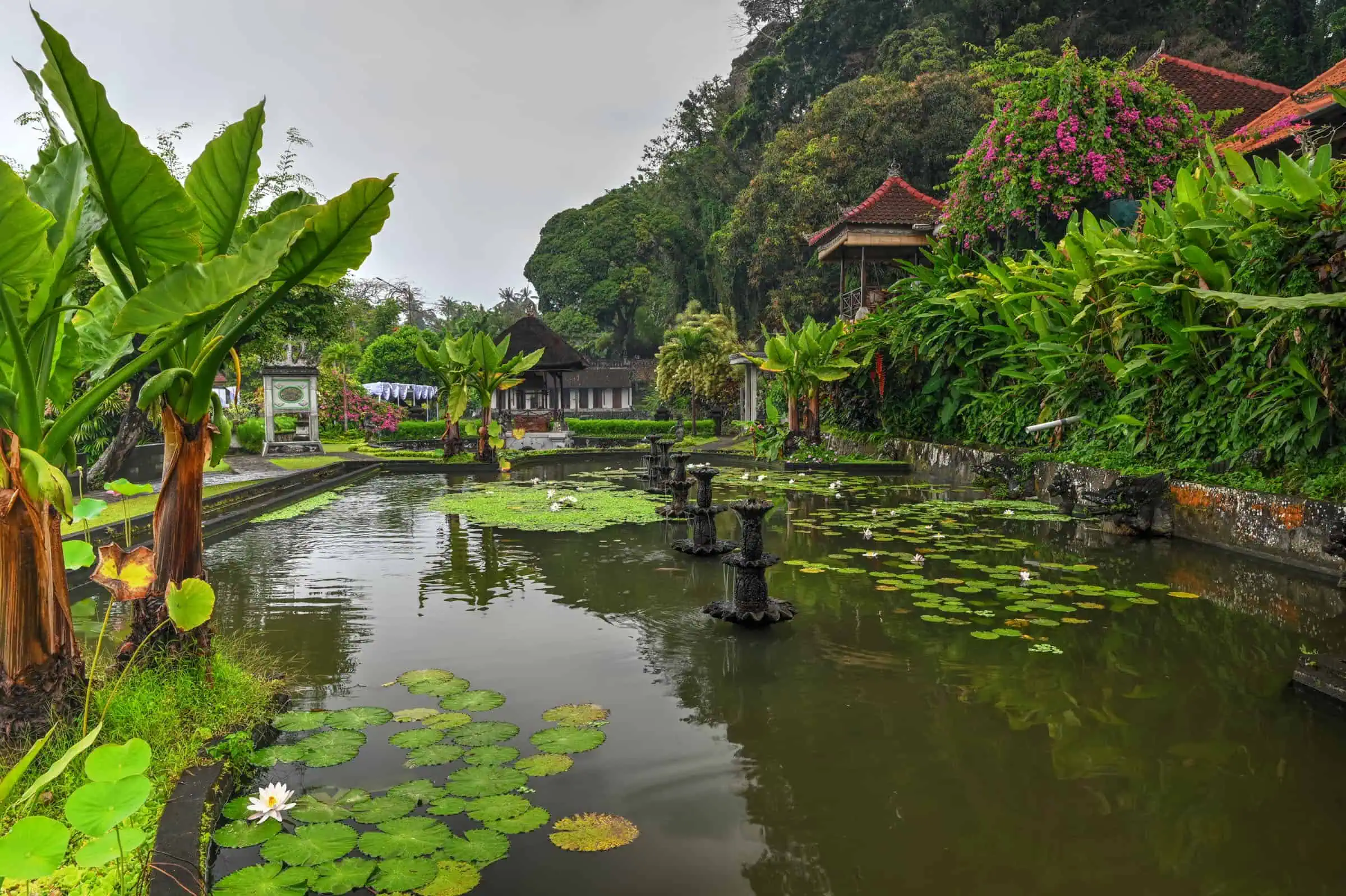 pond in Bali's Tirta Gangga Water Palace