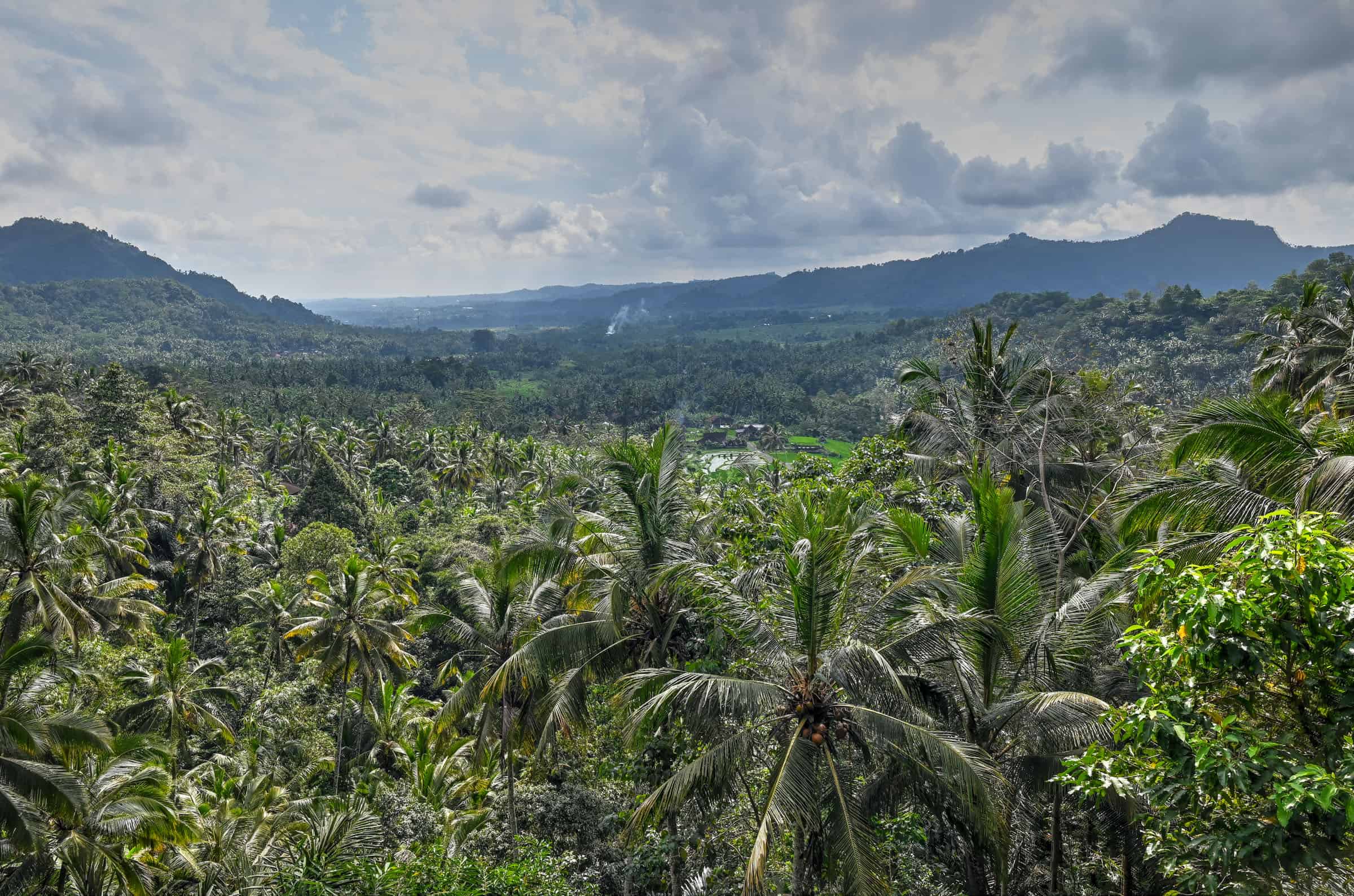 Bali's Gembleng Waterfall  view