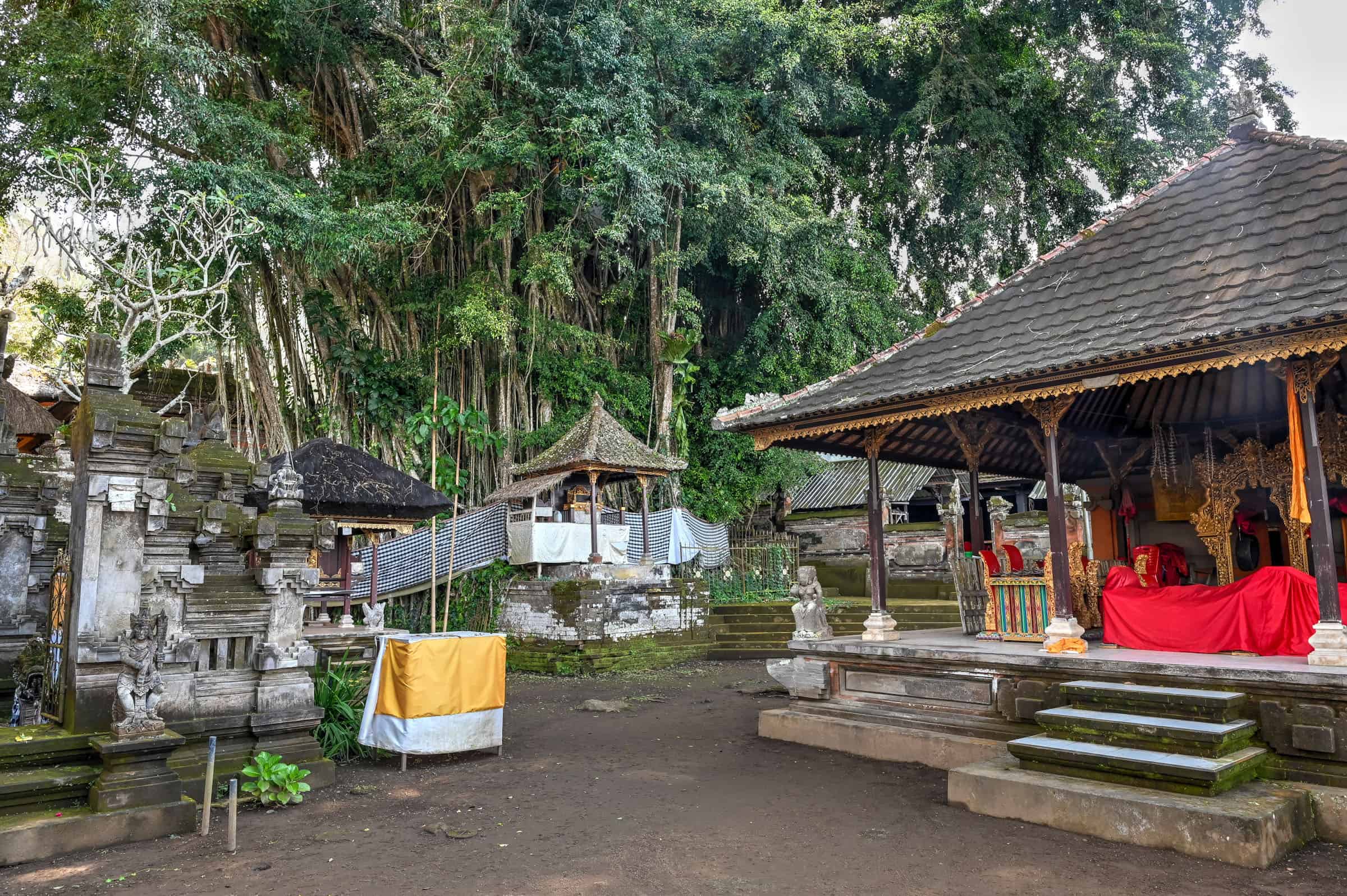 pura kehen giant banyan tree