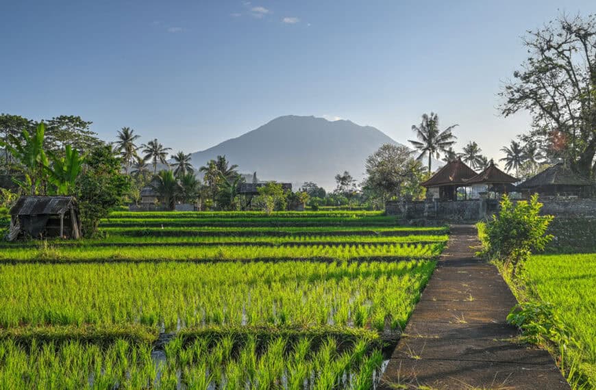 Bali Travel Guides