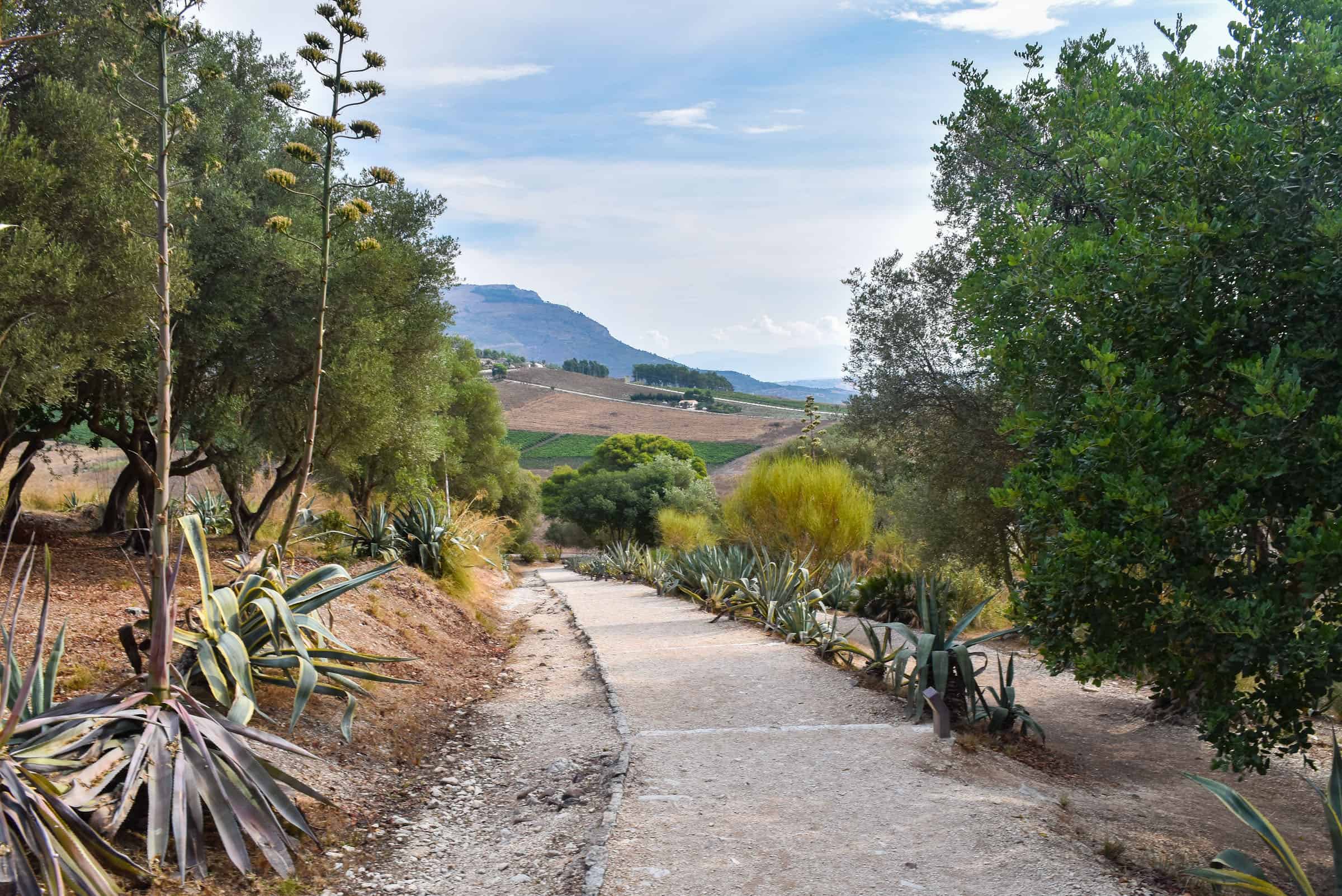 walking path in Segesta Archaeological Park