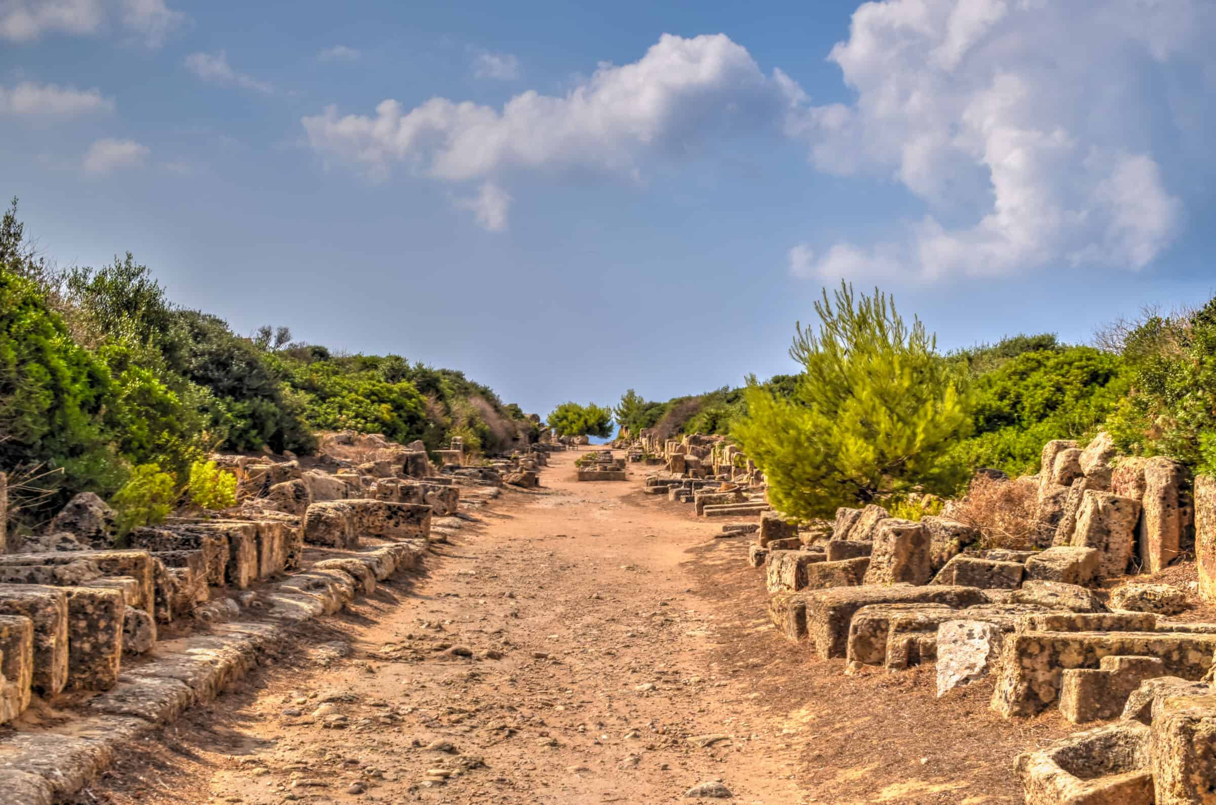 road agora of Selinunte Archaeological Park