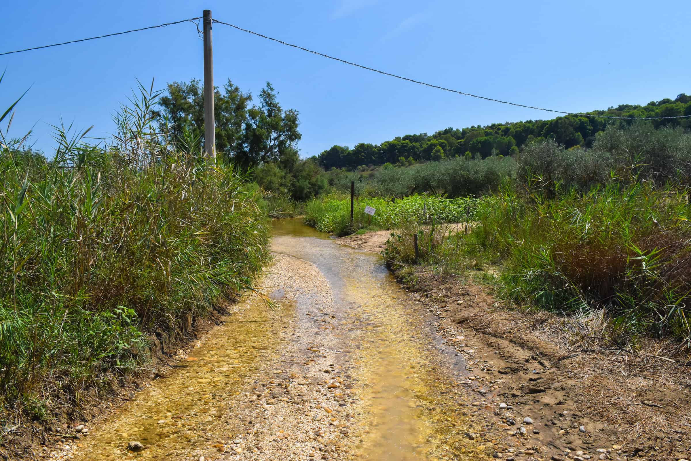 path to Torre Salsa