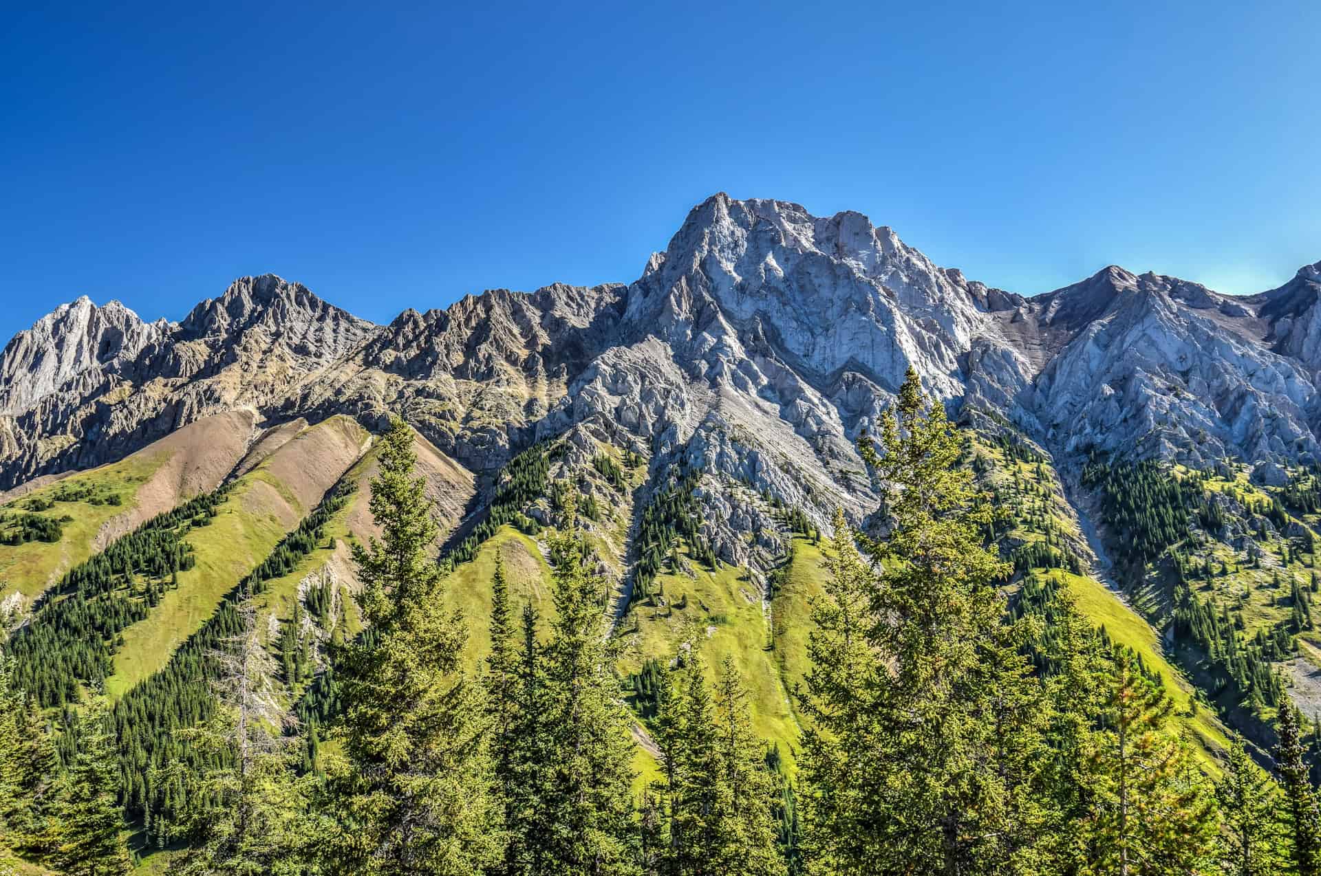 beautiful mountain views from the King Creek Ridge Trail
