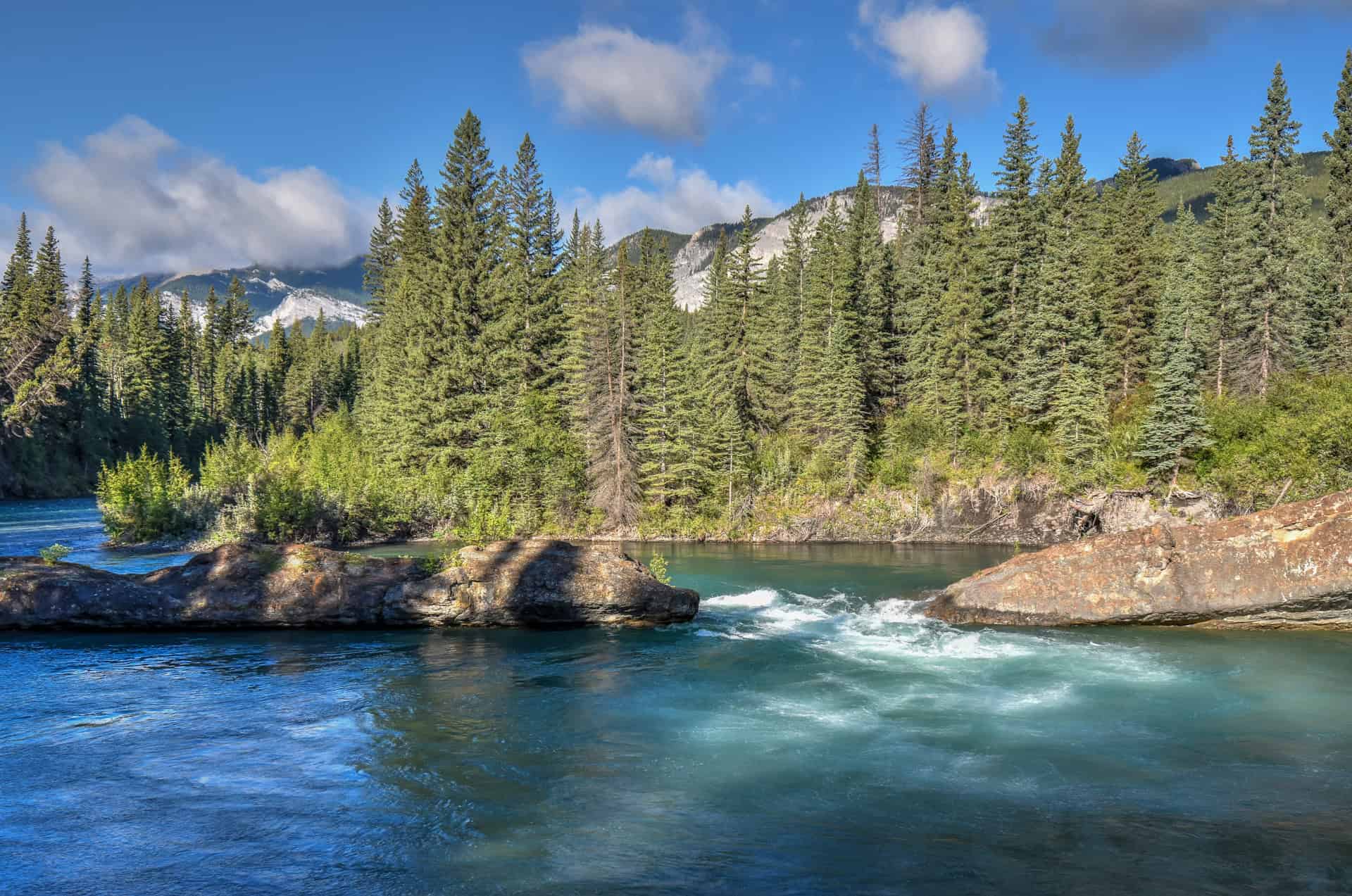 The widowmaker river alberta
