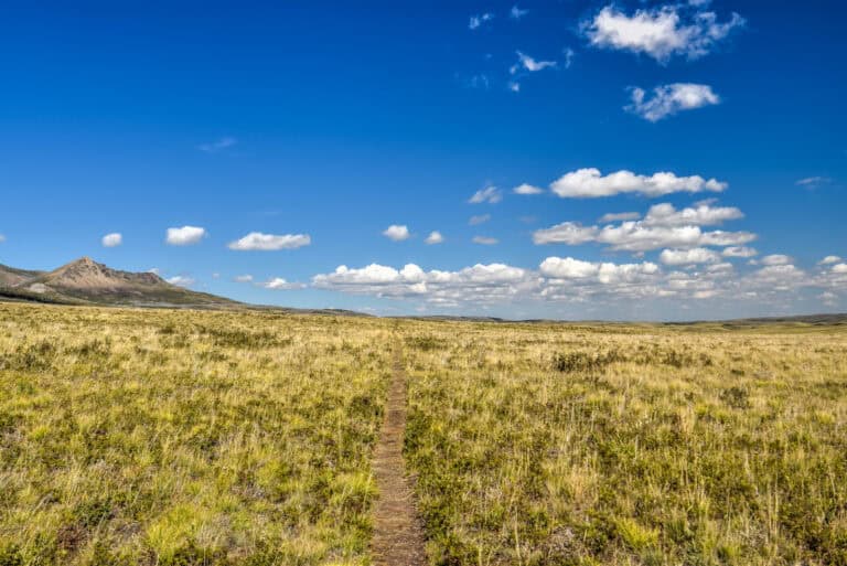 Bellevue prairie trail in waterton lakes national park