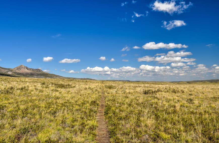 Bellevue prairie trail in waterton lakes national park