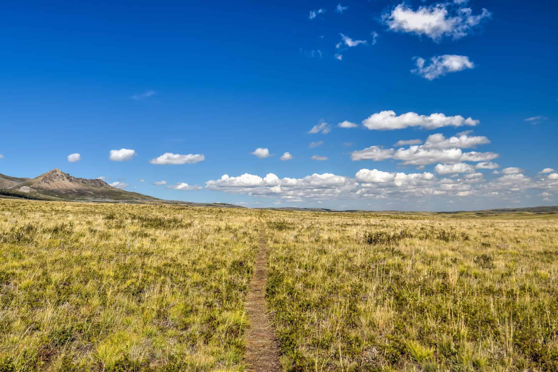 Bellevue prairie trail in waterton lakes national park