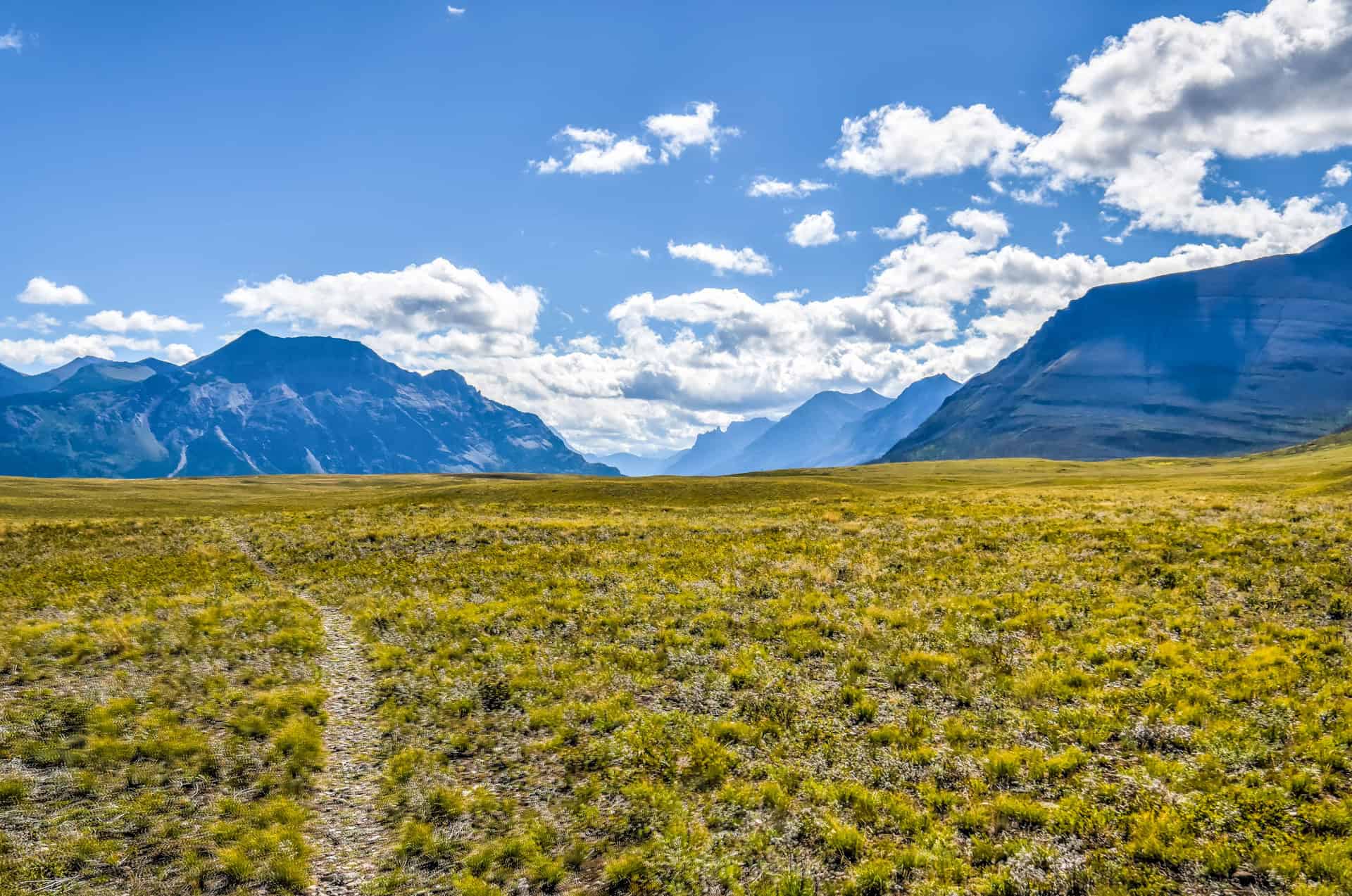 Bellevue prairie hiking trail in waterton lakes national park