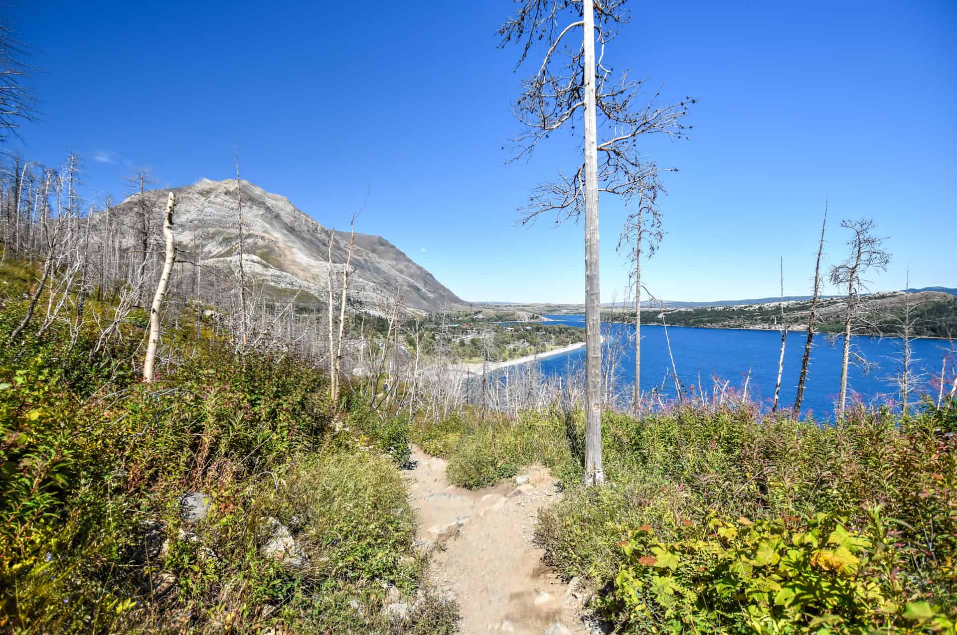 waterton and mount crandell