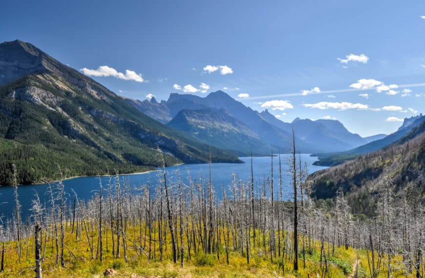 Lakeshore Trail – A Waterton Hiking Guide
