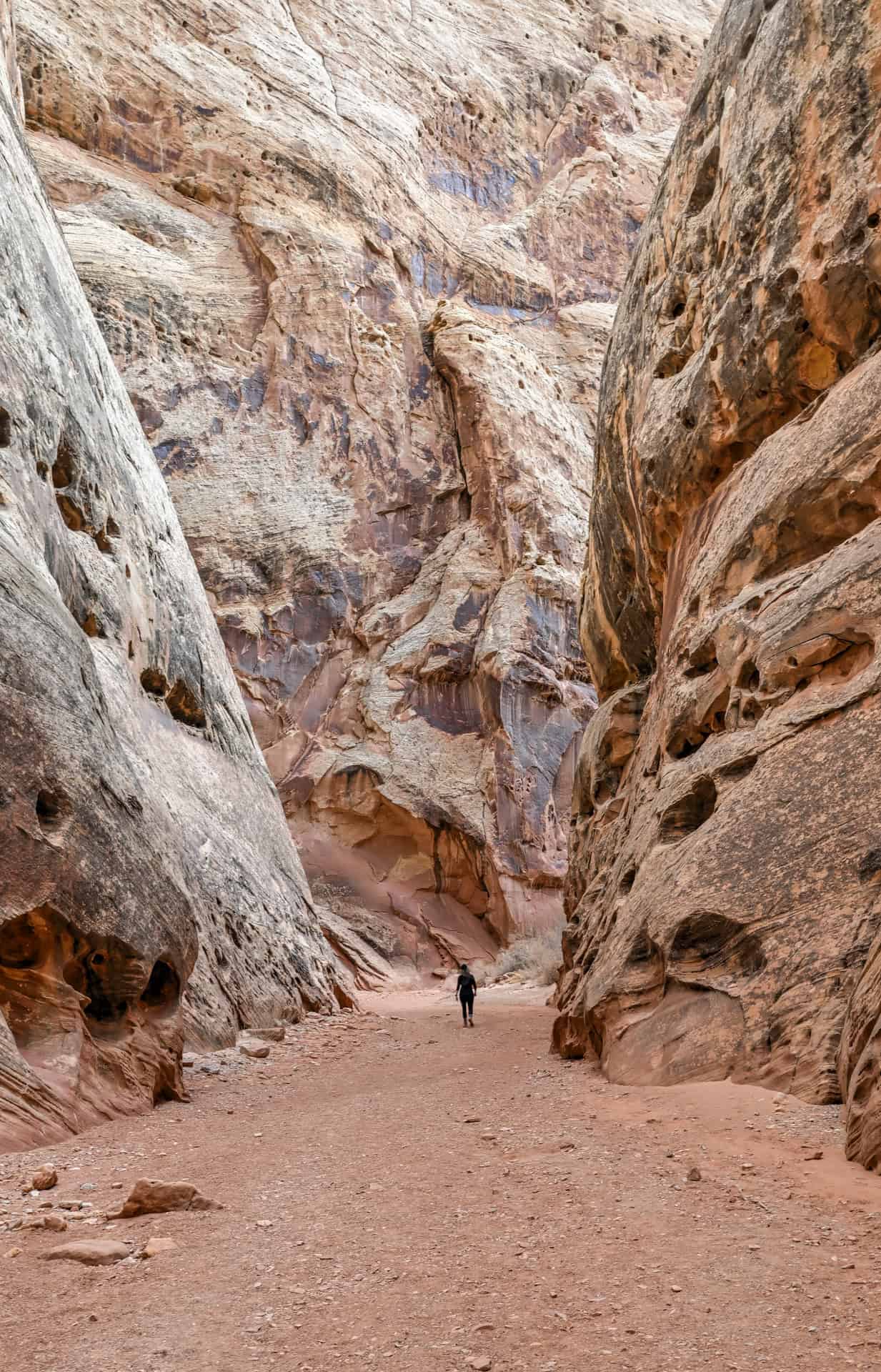 grand wash slot canyon capitol reef national park