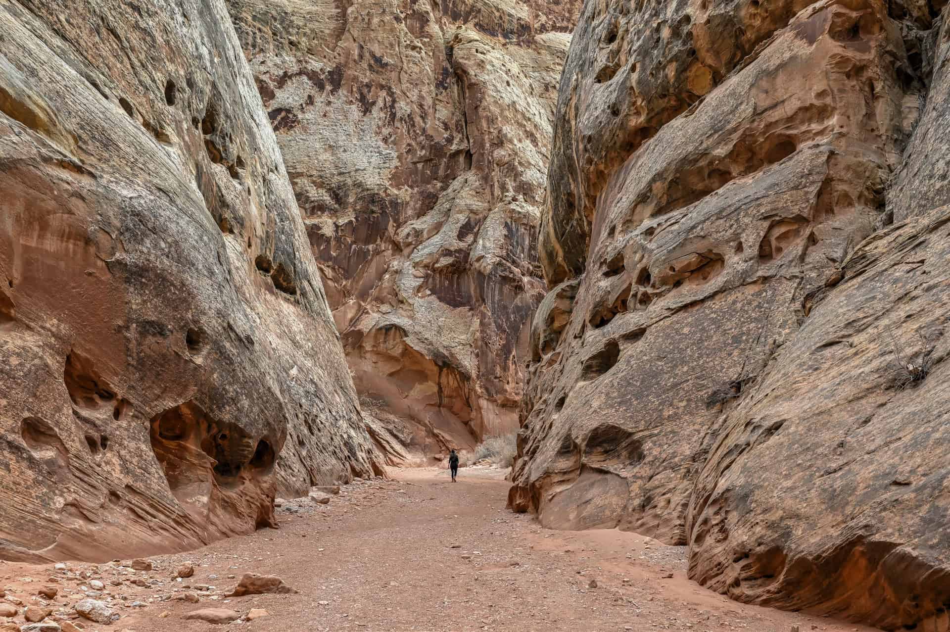 grand wash trail capitol reef national park