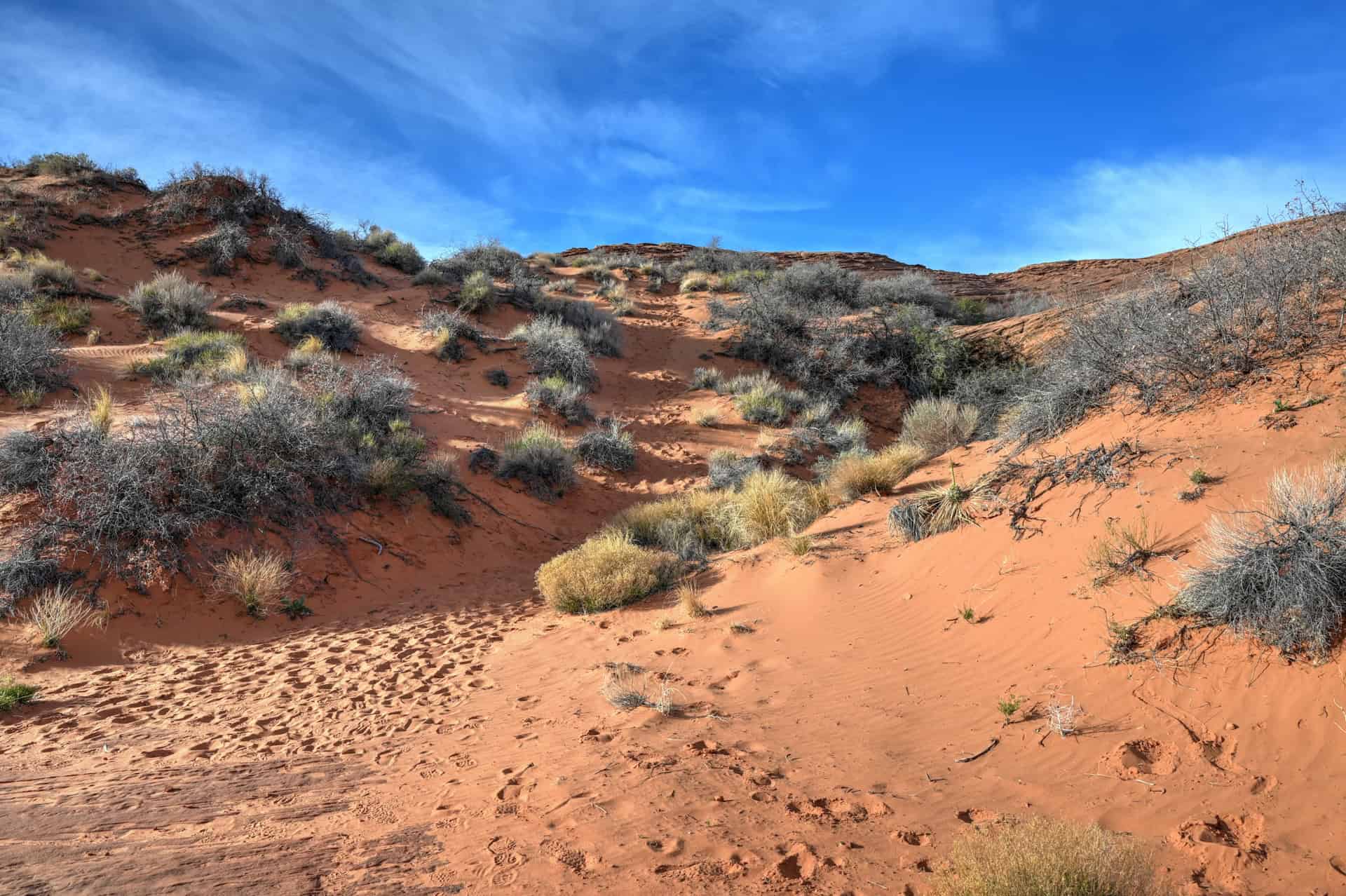 sand dunes near page arizona
