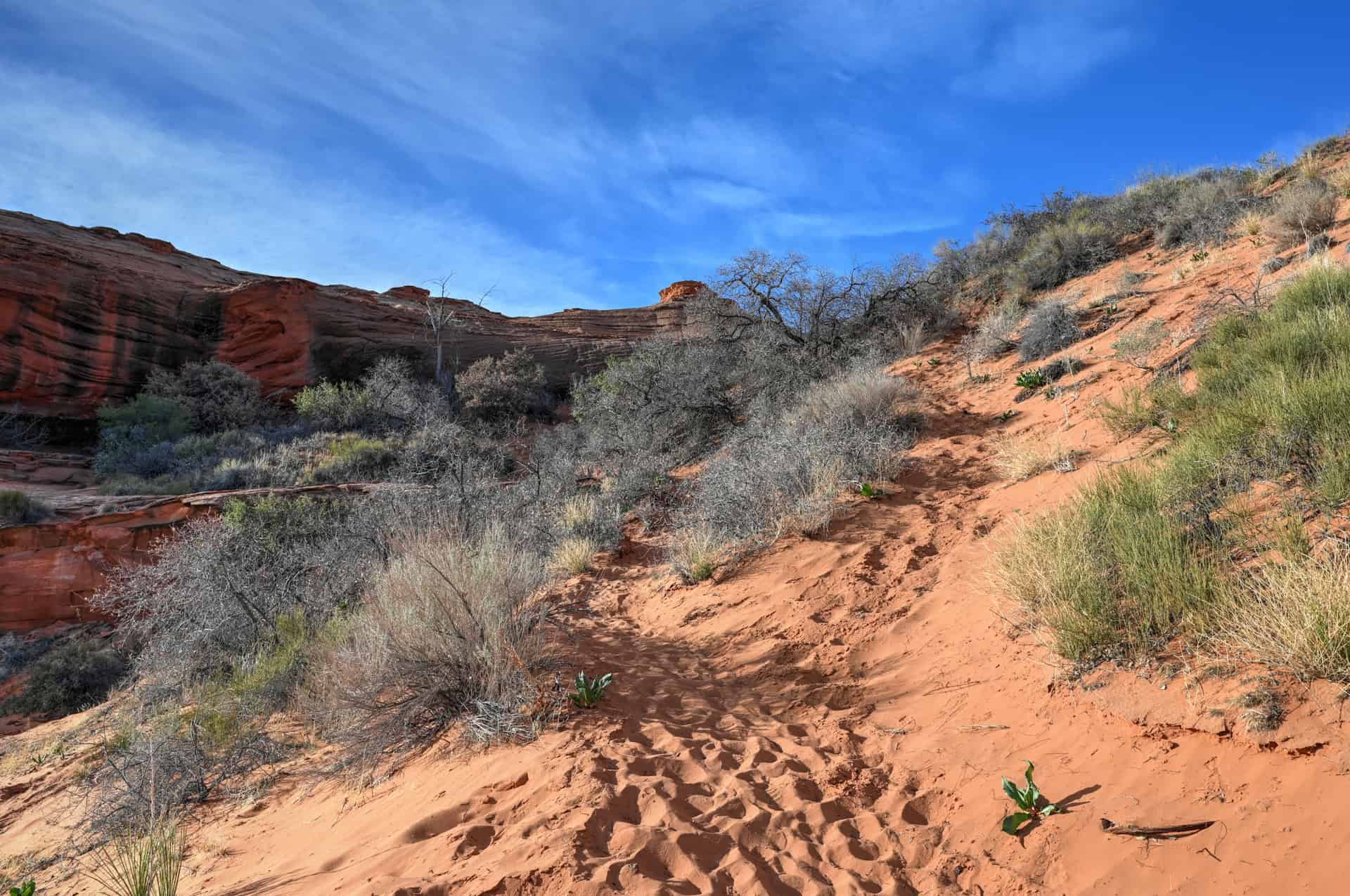 sand dunes on the hanging garden trail