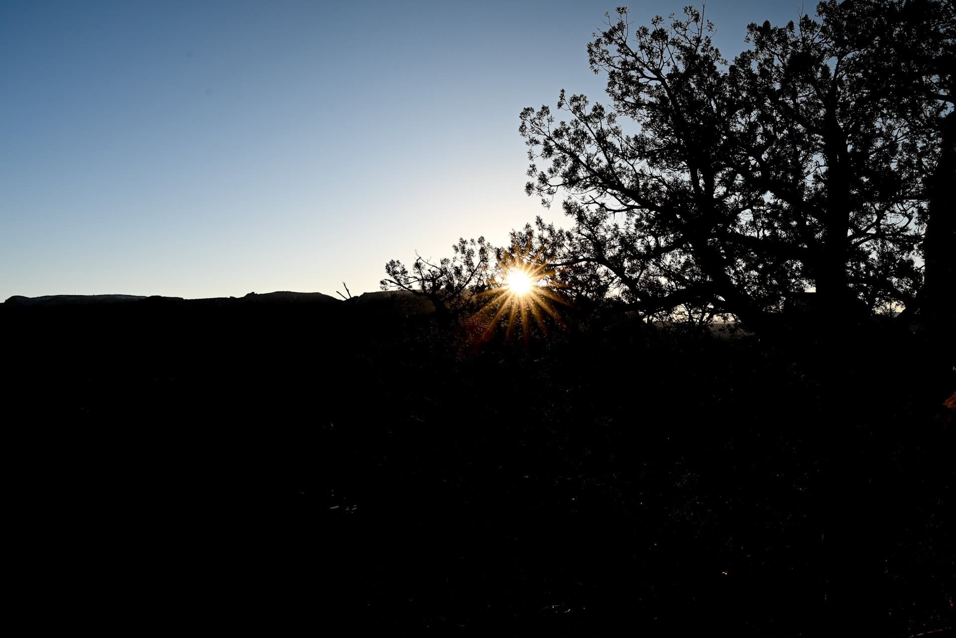morning sunrise from cathedral rock trail in sedona