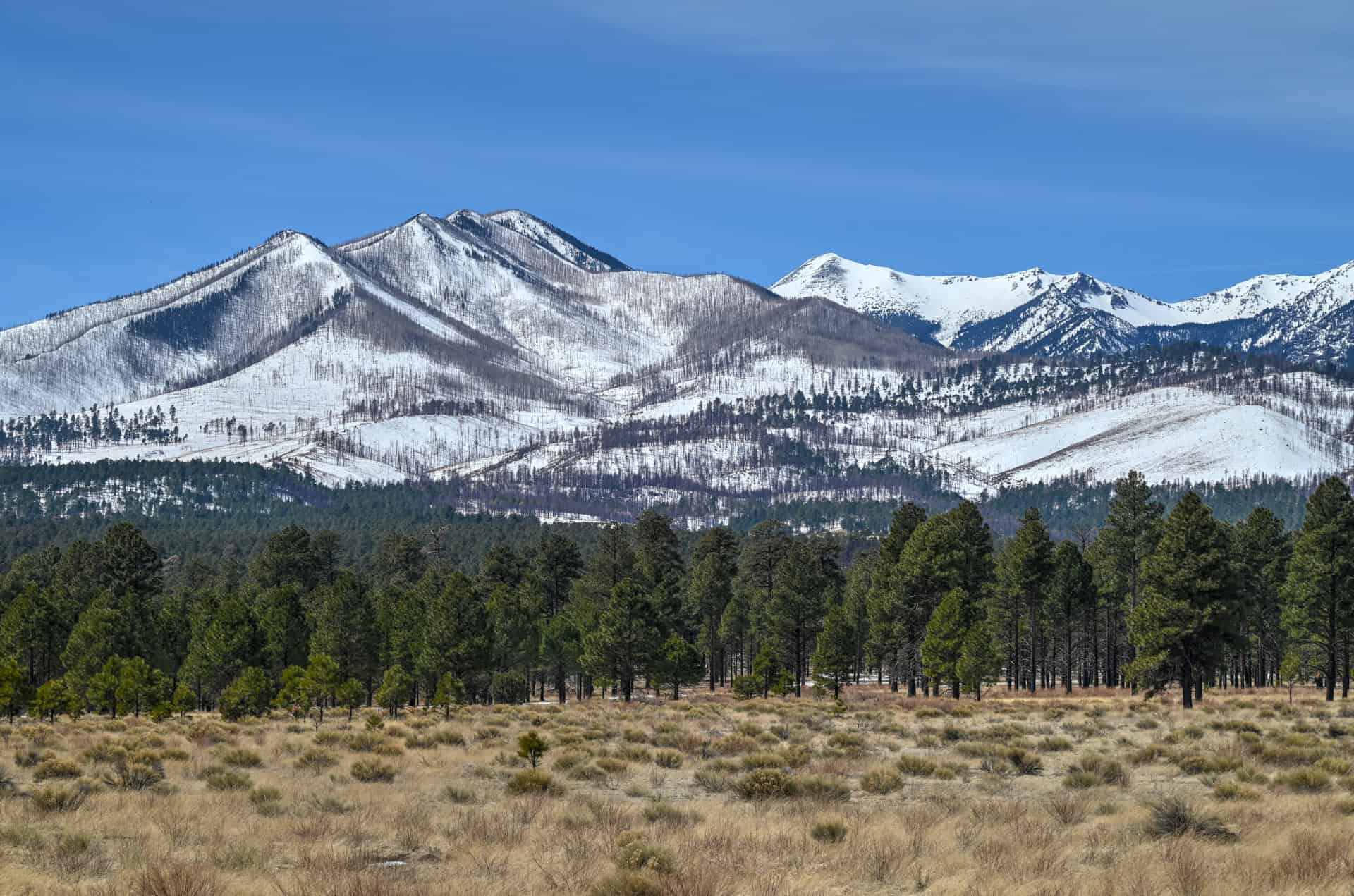 San Francisco Peaks arizona