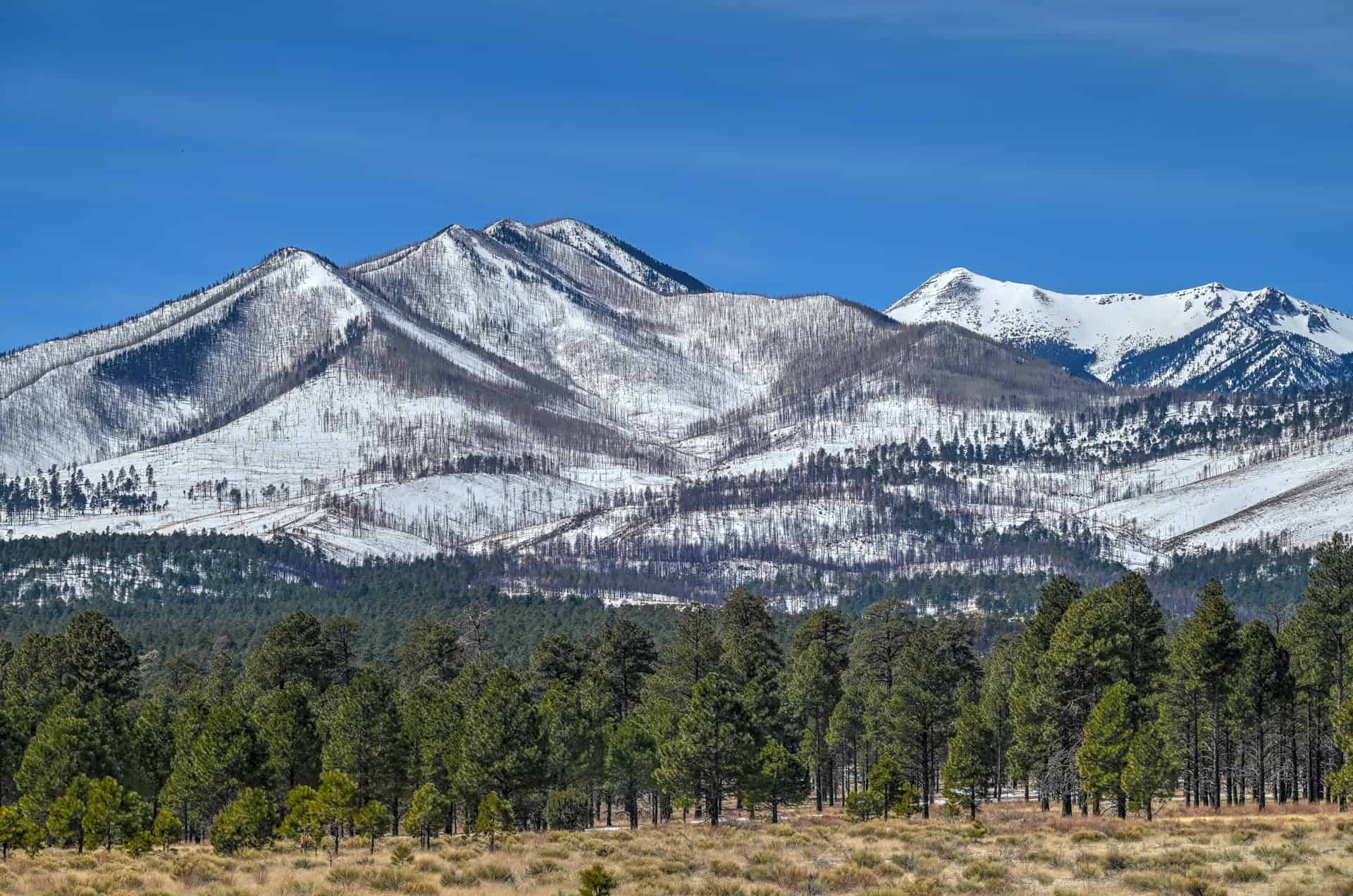 snowcapped San Francisco Peaks in arizona