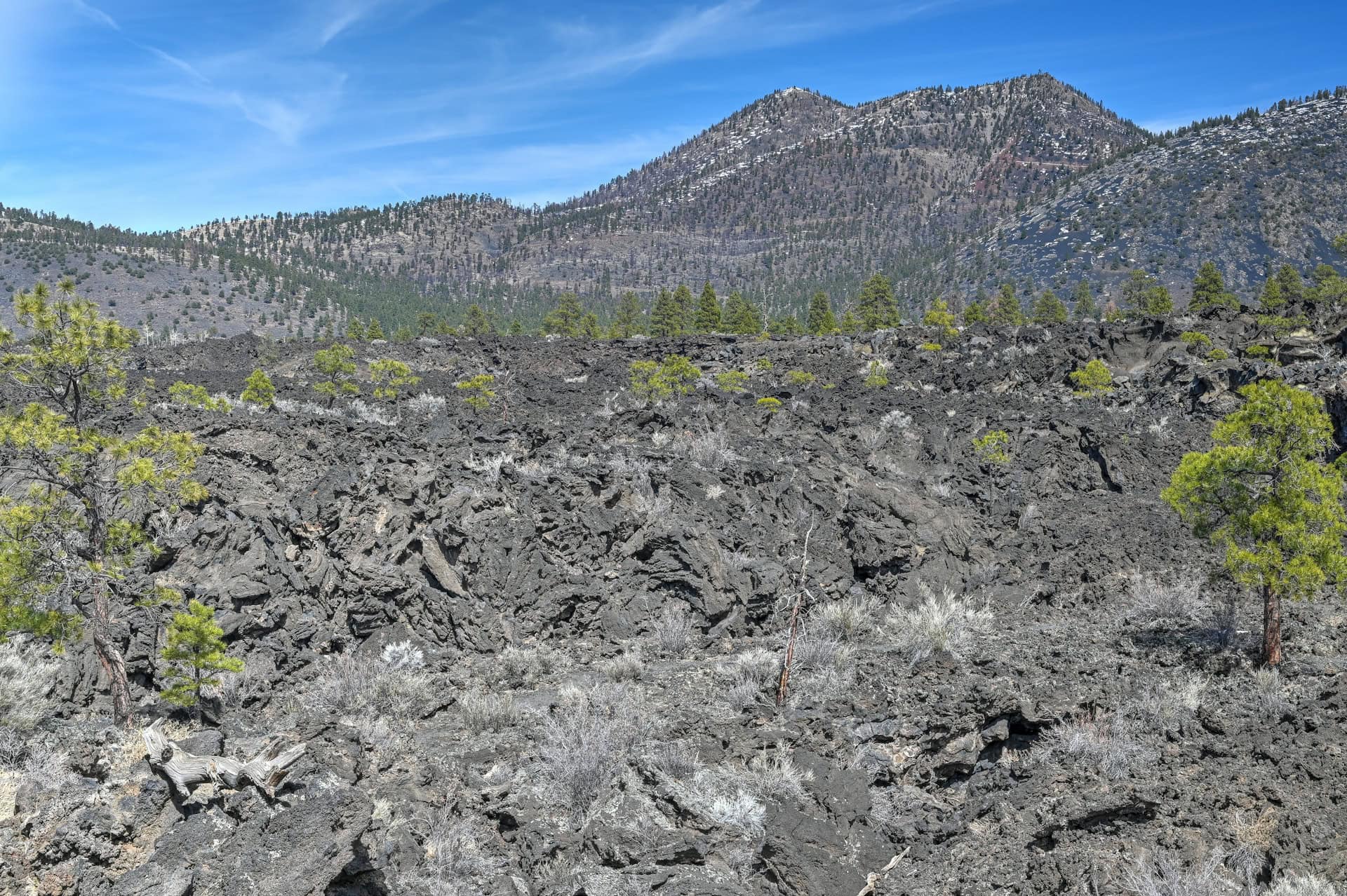 lava flow trail in sunset crater volcano national monument