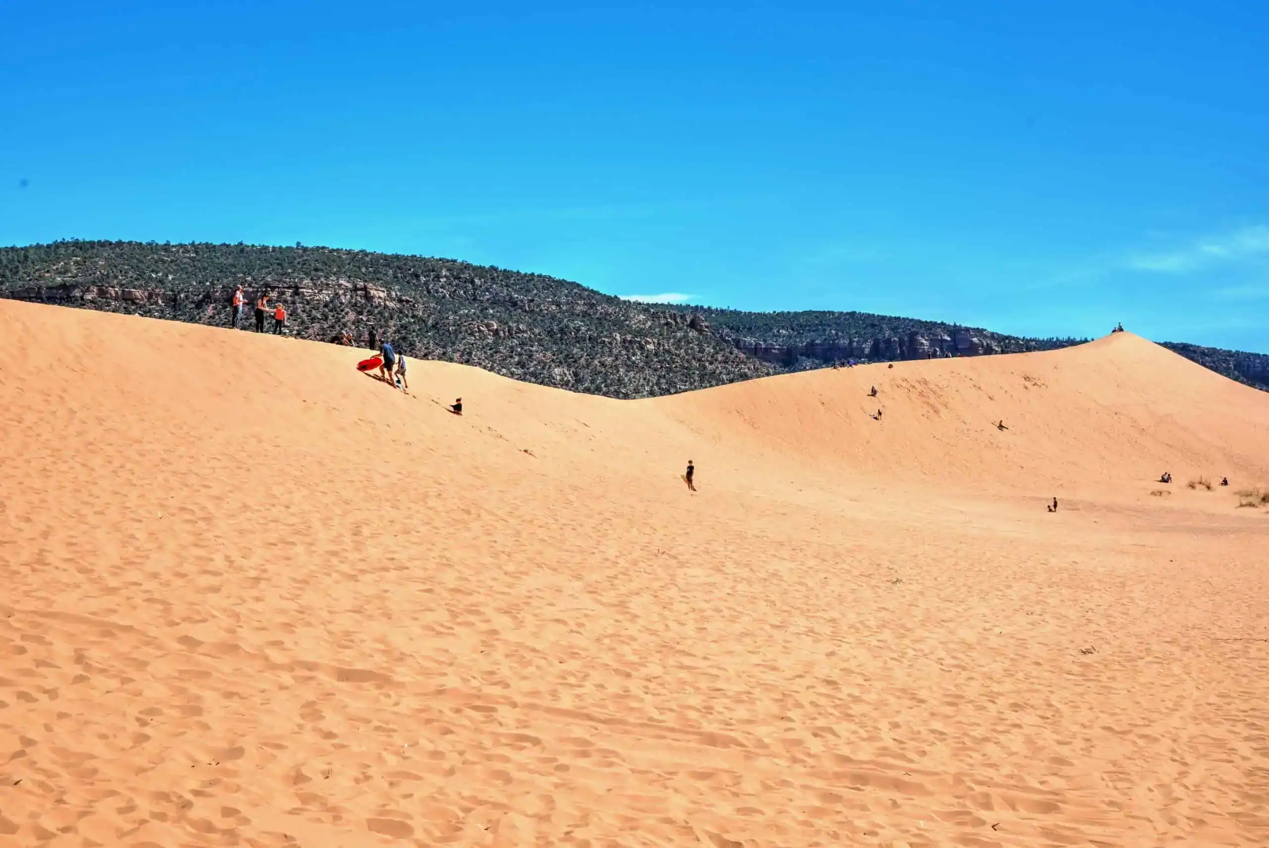 coral pink sand dunes state park in utah