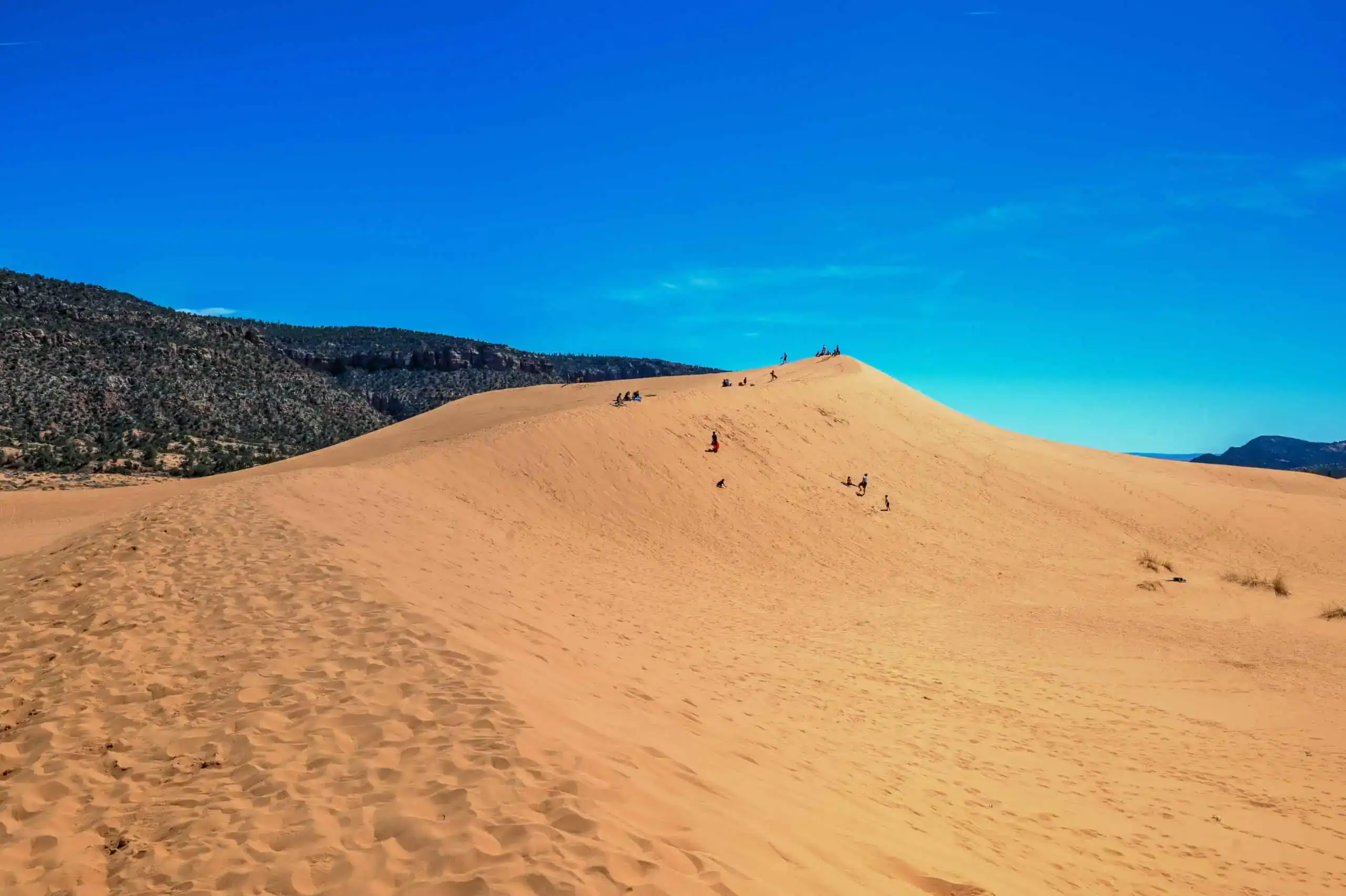 sandboarding at coral pink sand dunes in utah