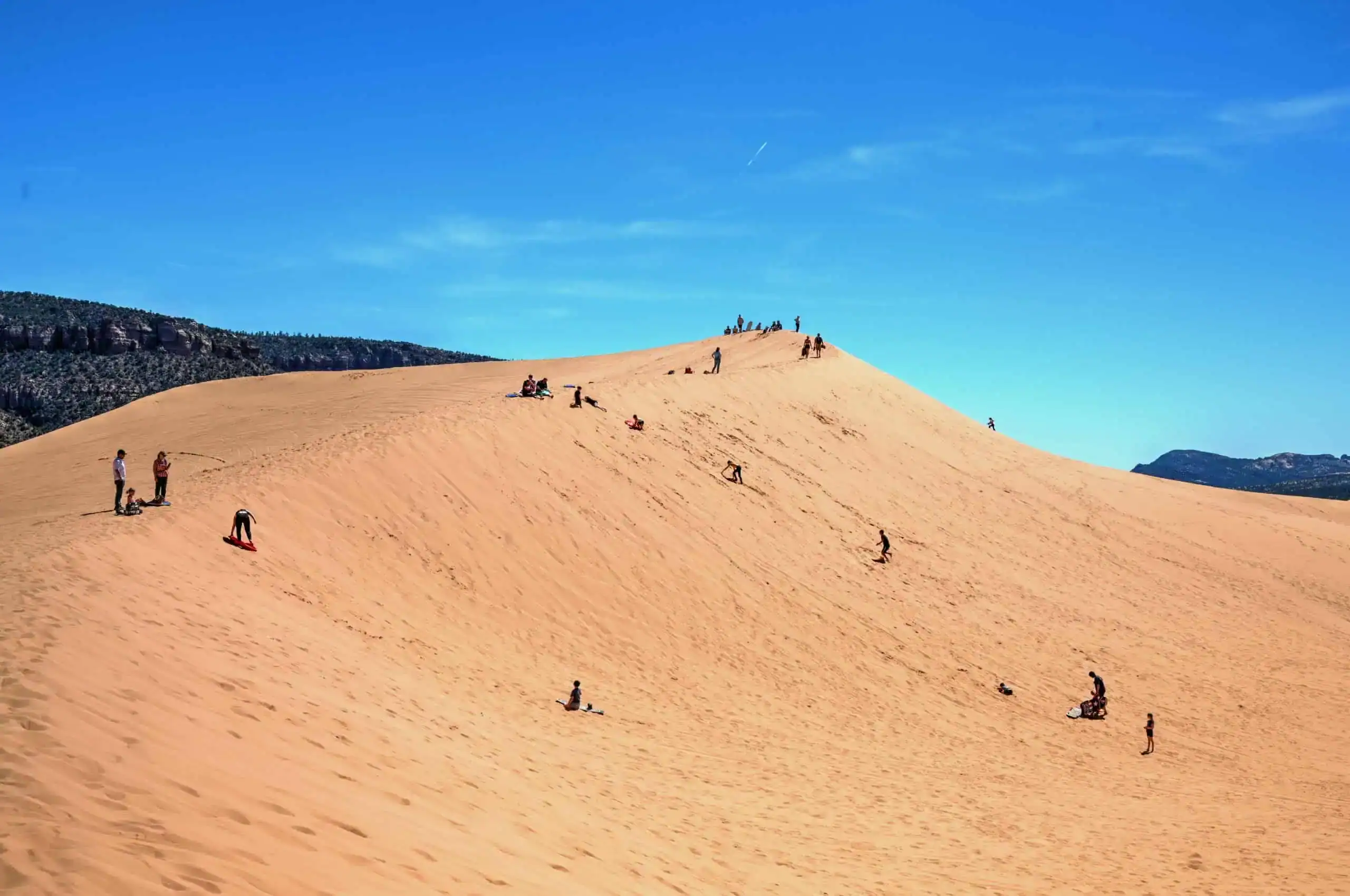 sandboarding at coral pink sand dunes state park in utah