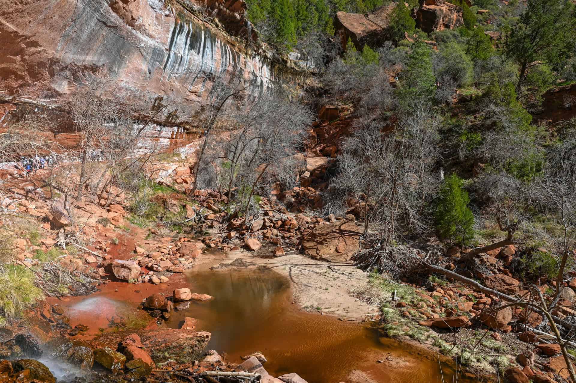 Lower emerald pool in zion