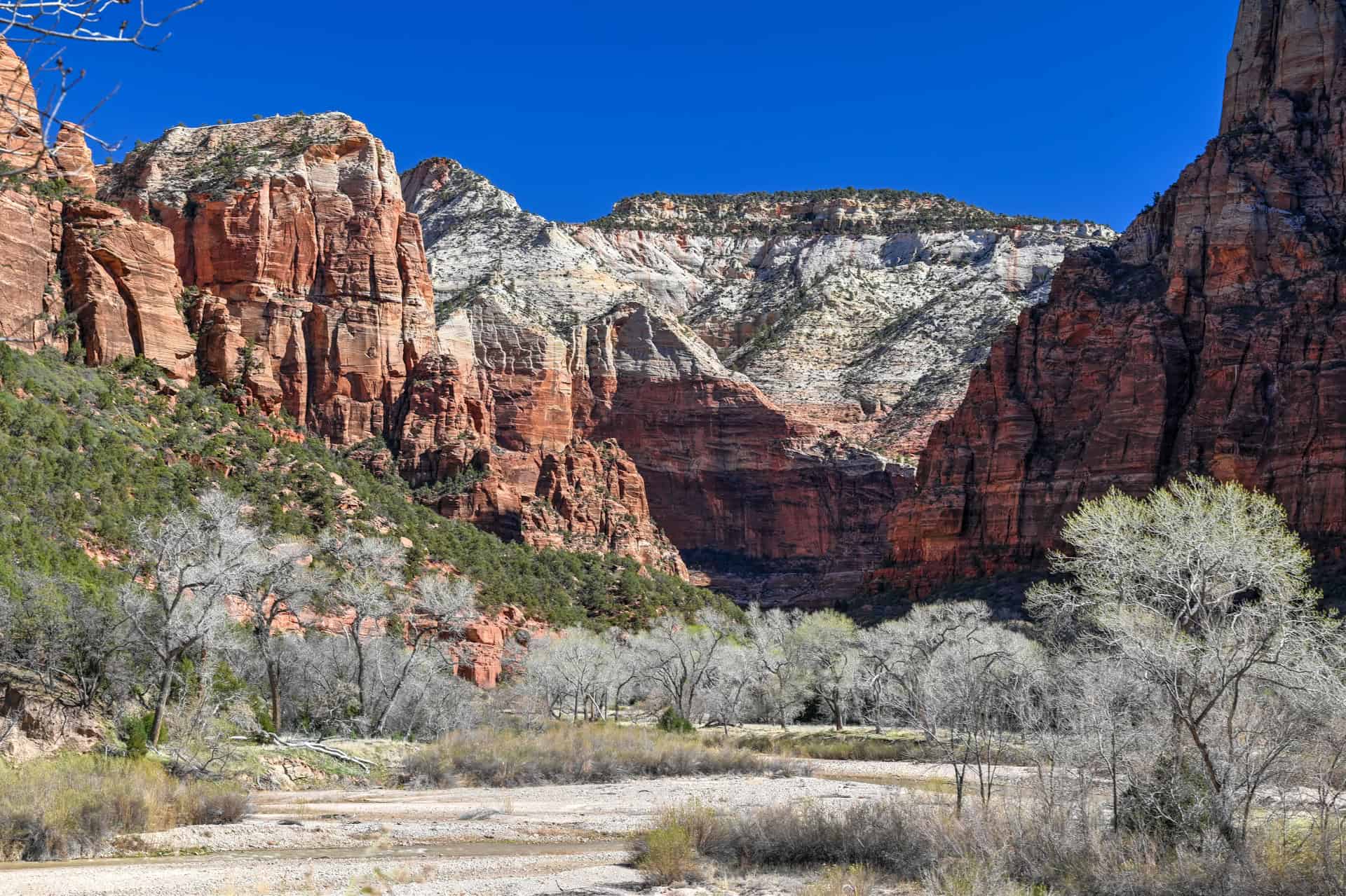 view from the emerald pools trail