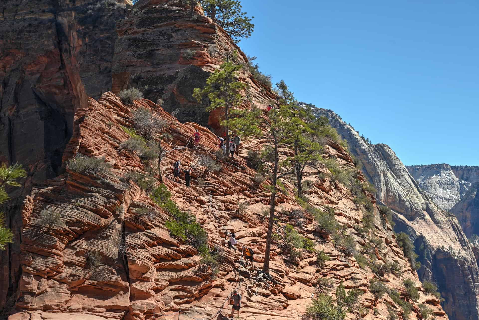 angel's landing trail in zion national park