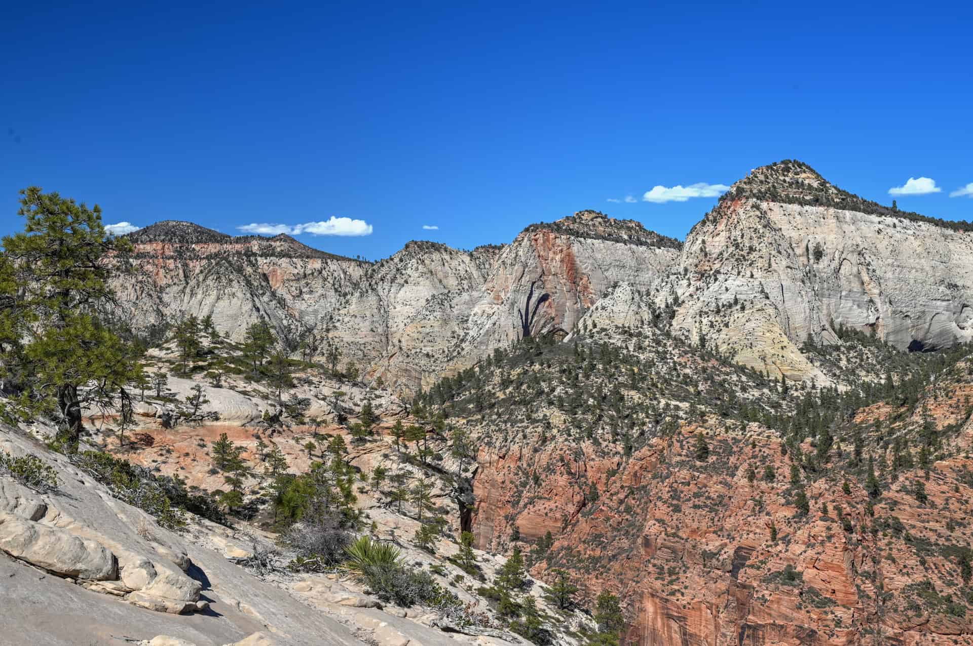 view along the west rim trail in zion