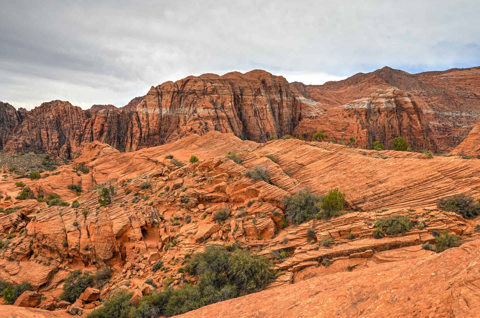 petrified dunes trail in snow canyon state park