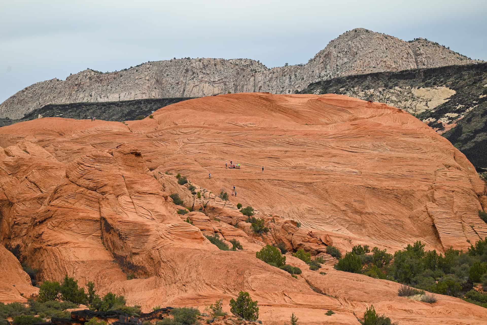 giant petrified dunes in snow canyon