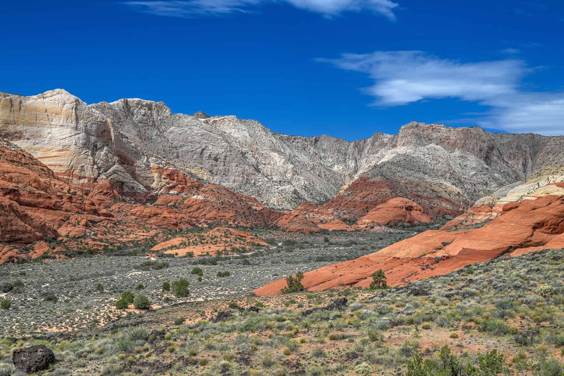 butterfly trail in snow canyon state park