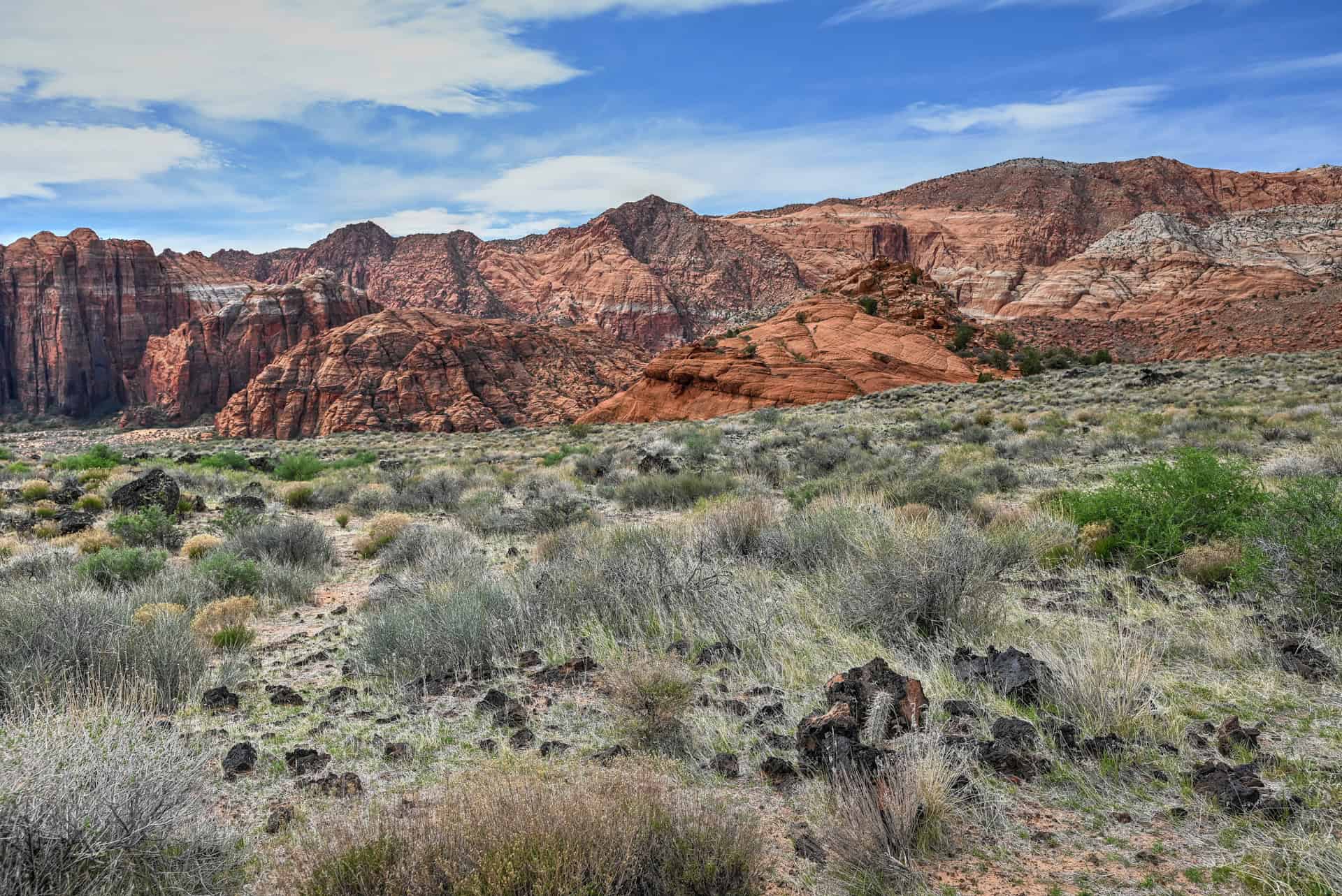 butterfly trail in snow canyon state park