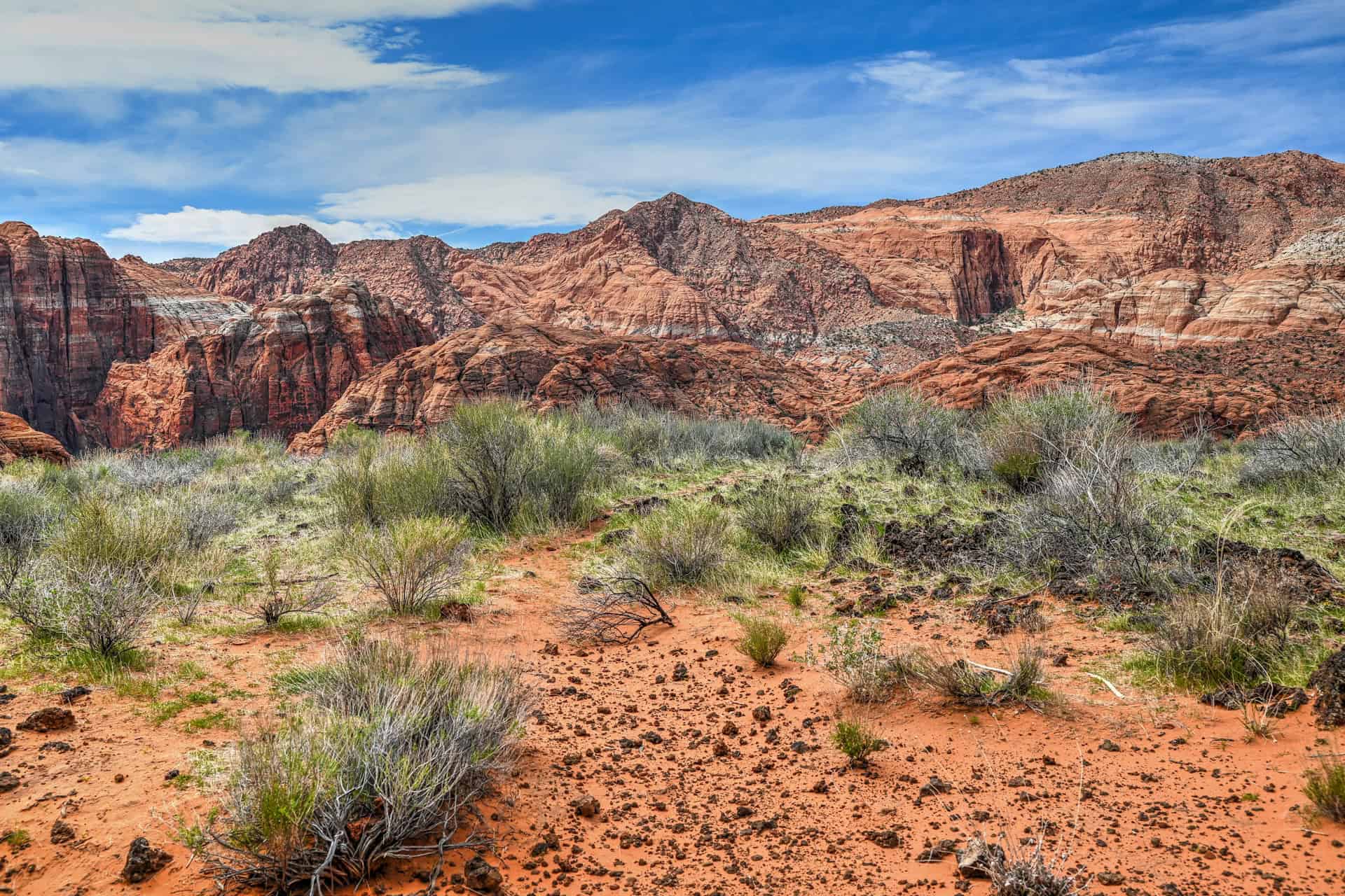 lava flow trail in snow canyon state park