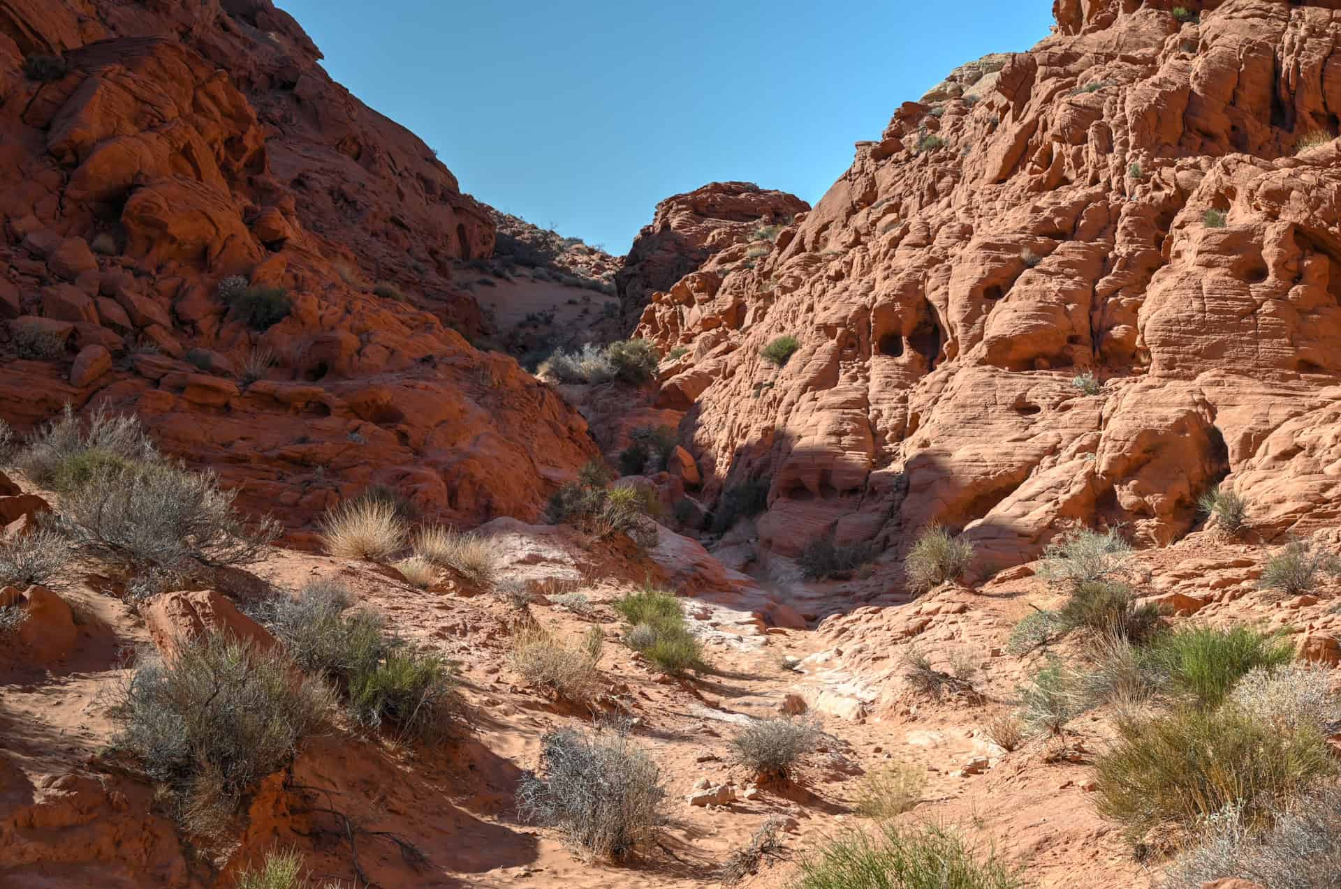 hiking on rainbow vista trail in valley of fire state park