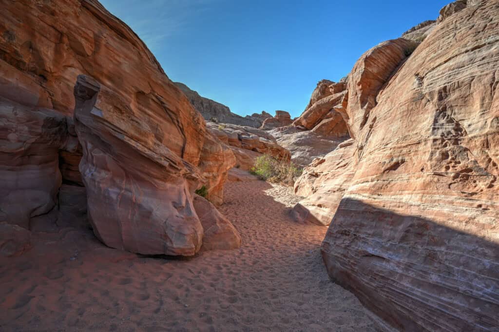 hinking pink canyon valley of fire