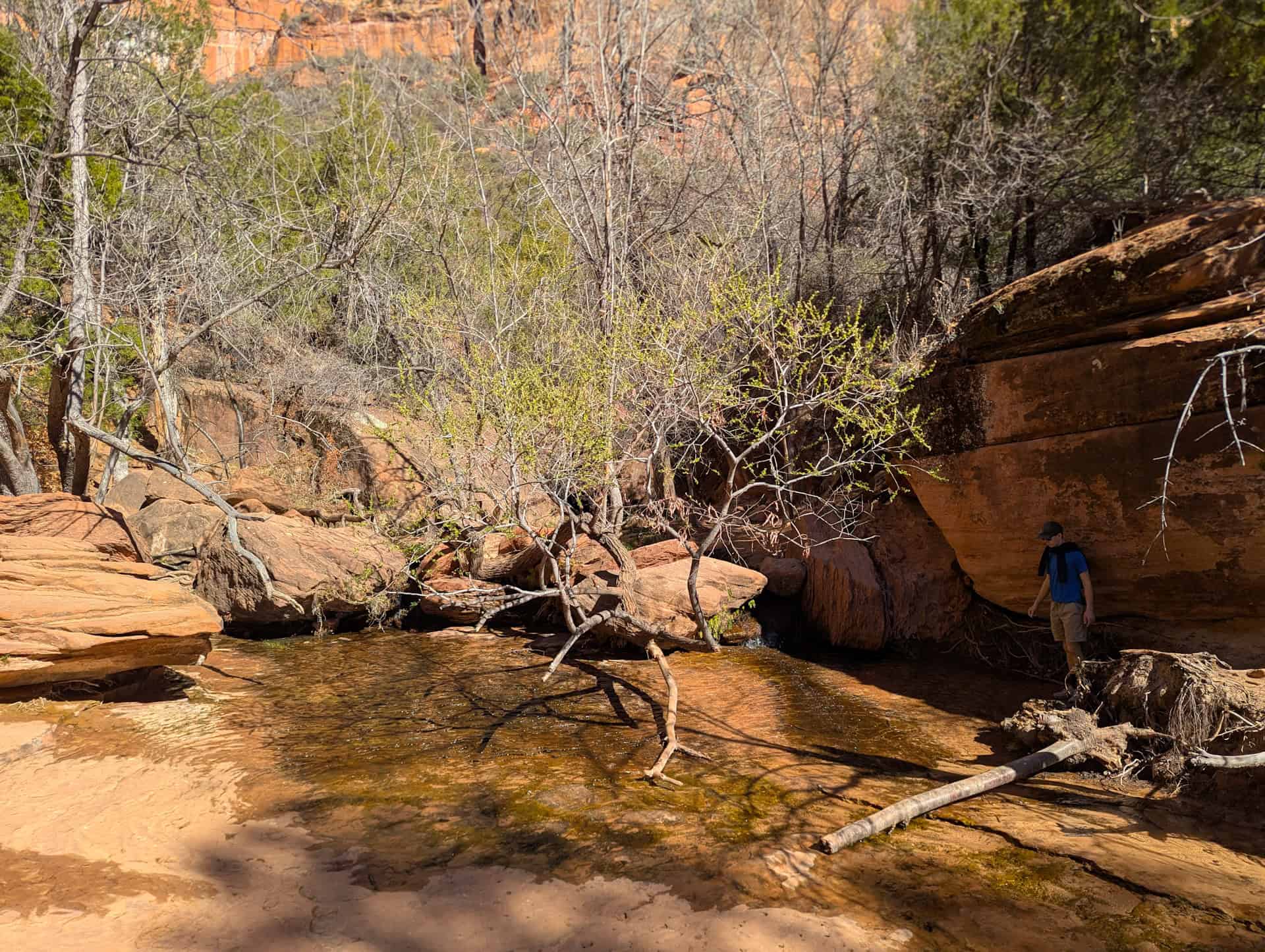 mmiddle emerald pool