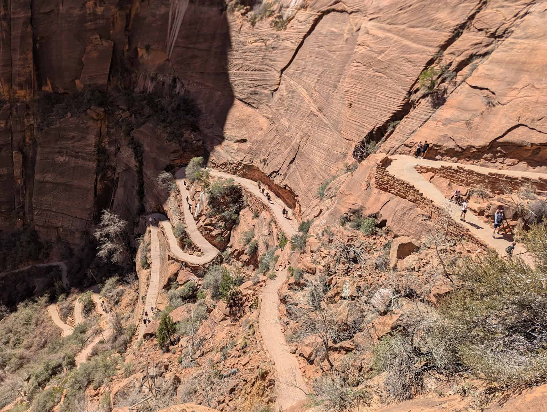 switchbacks on the west rim trail to scout lookout in zion