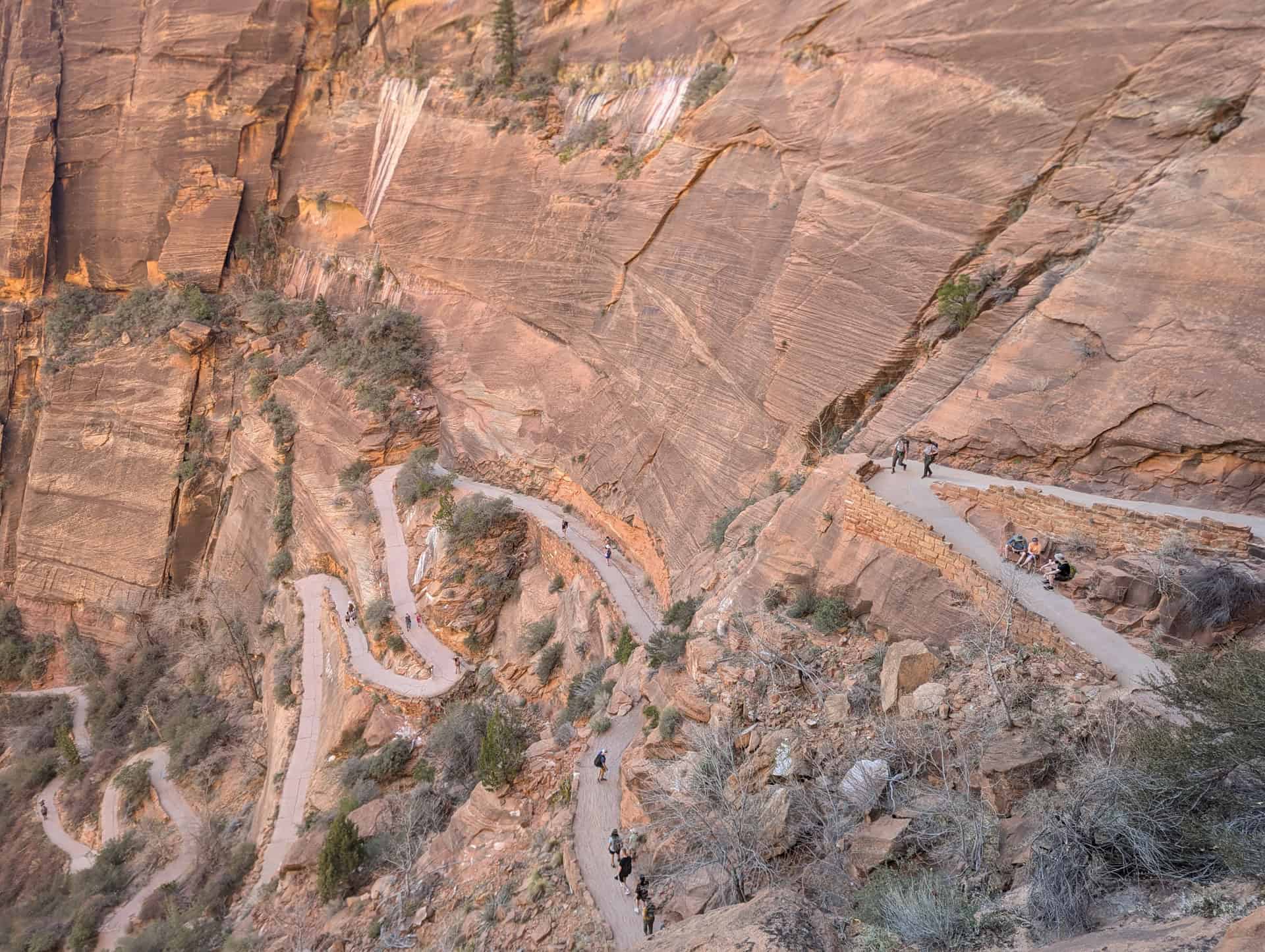 switchbacks on the west rim trail to angel's landing in zion