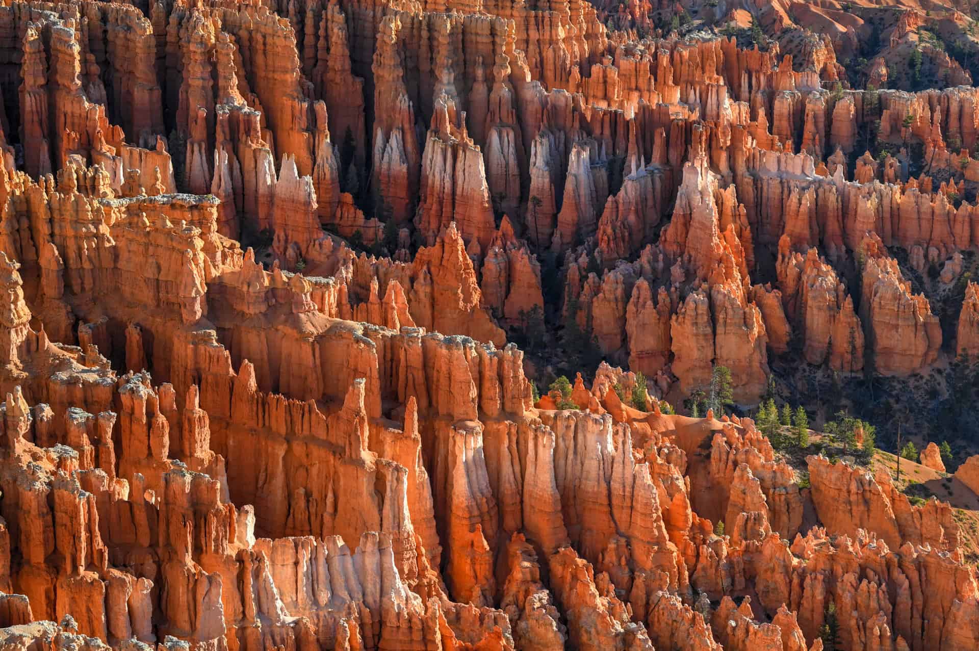 hoodoos below inspiration point