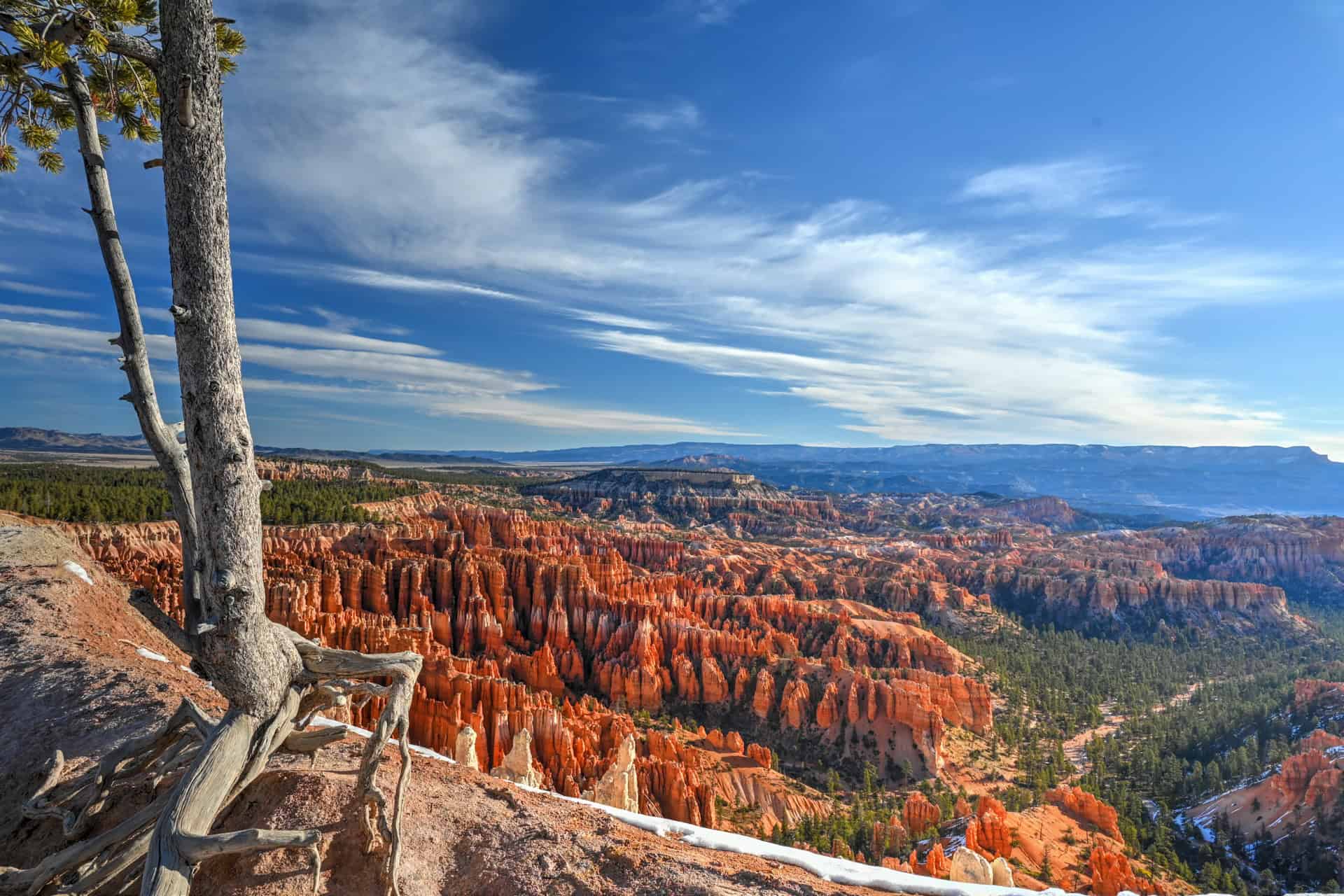 inspiration point in bryce canyon national park
