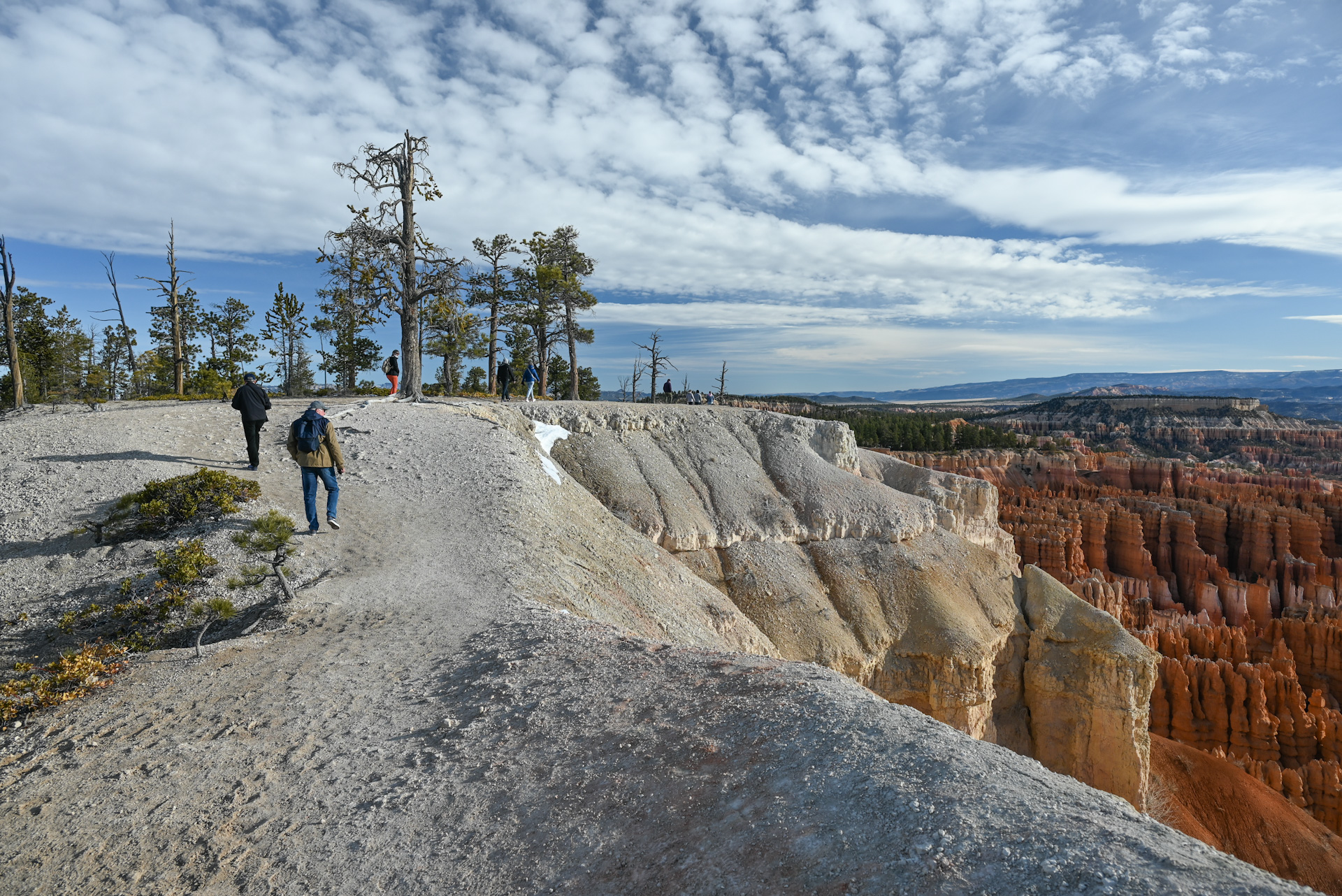 the rim trail in bryce canyon