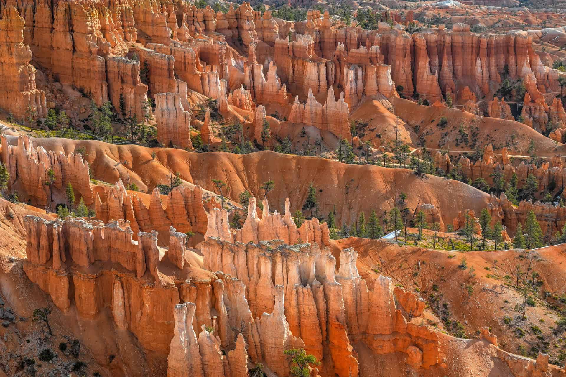 hoodoos near sunset point