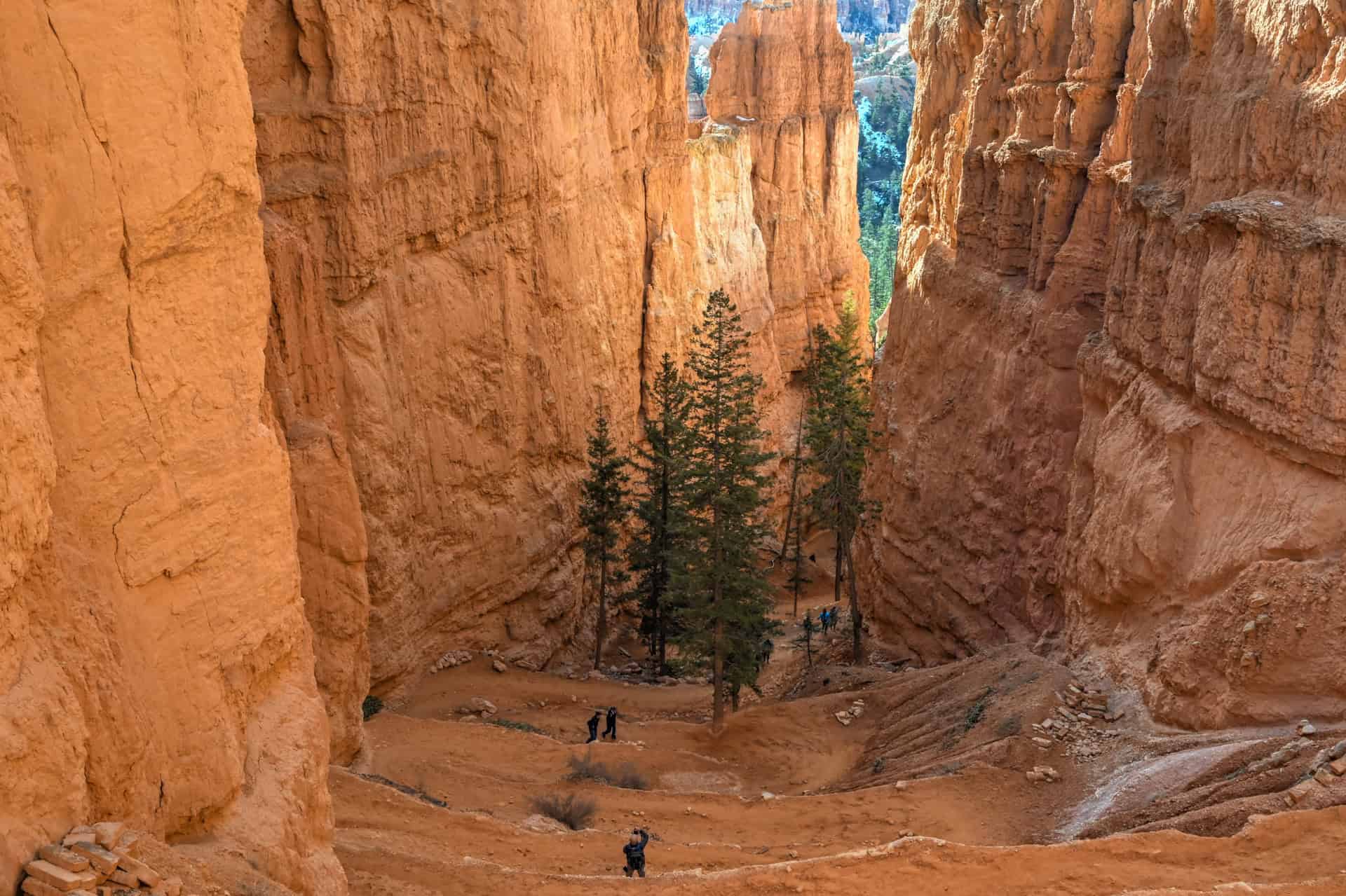 the switchbacks of the navajo loop