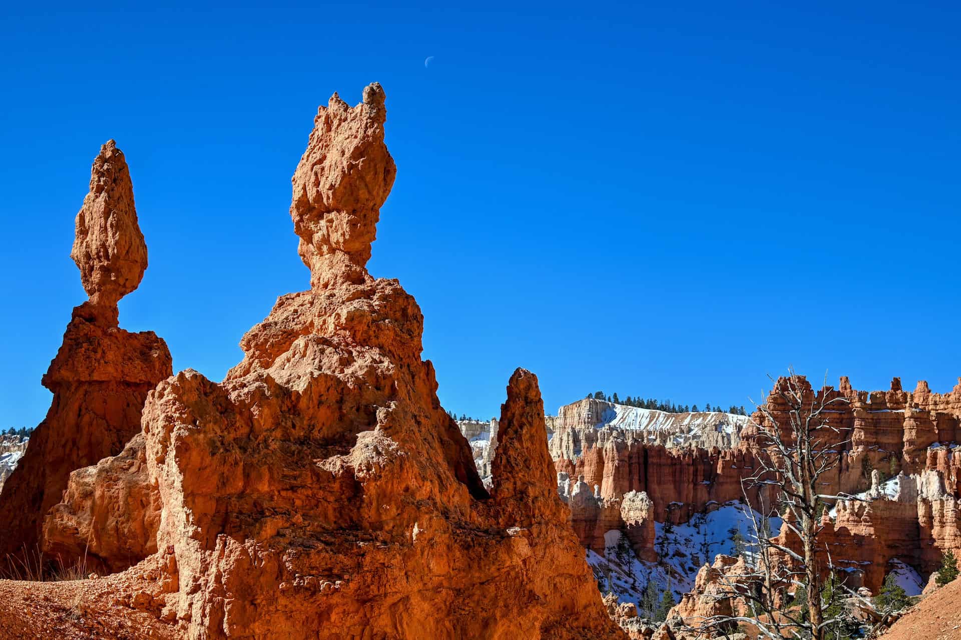 hoodoos along the queen's garden trail