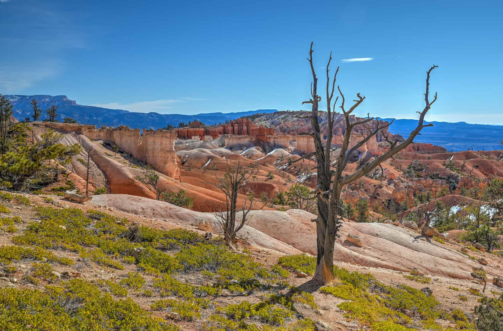 open landscape in bryce canyon national park, as viewed from the queen's garden trail