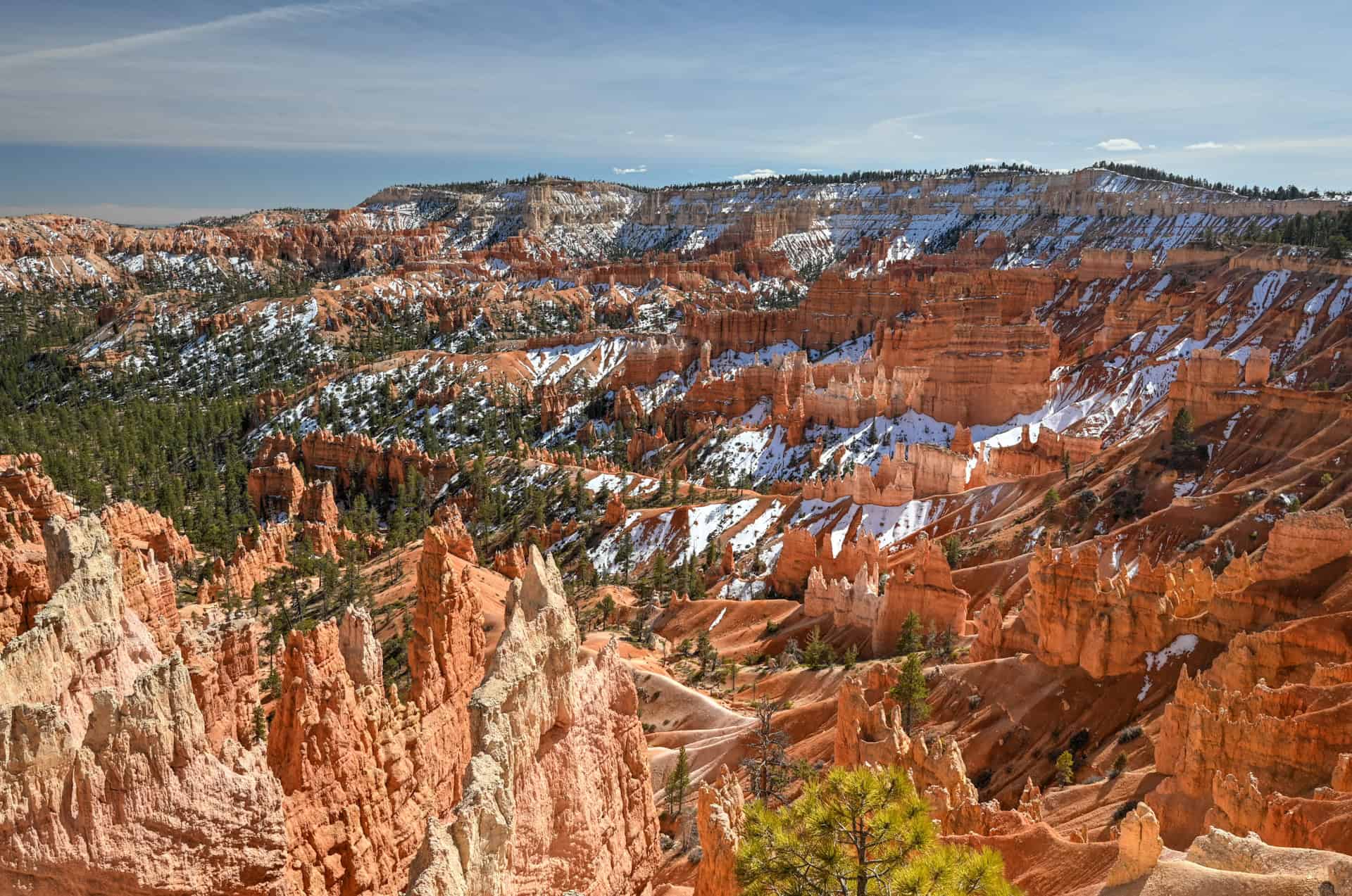 view from the rim trail