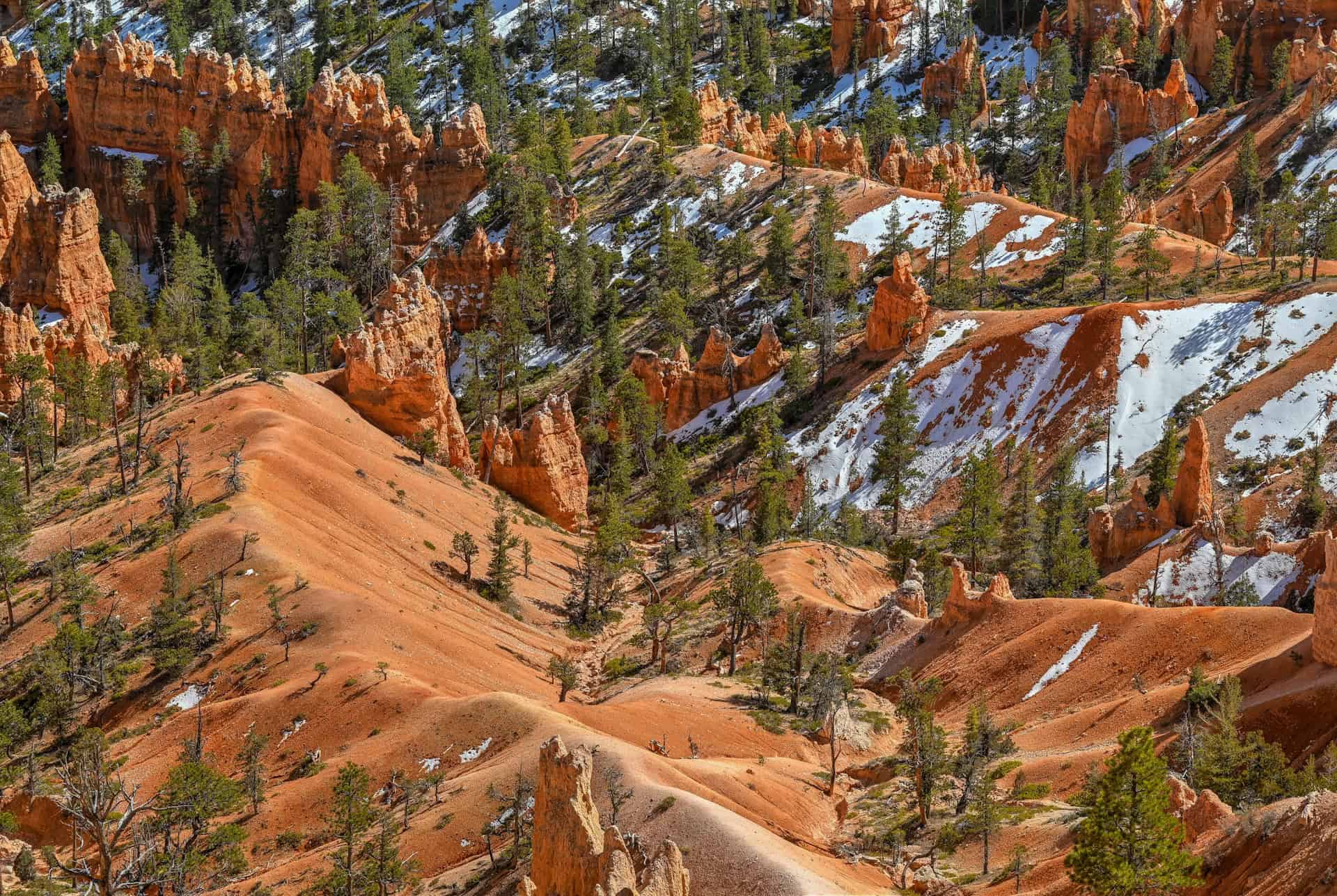 close-up of the hoodoos from the rim trail