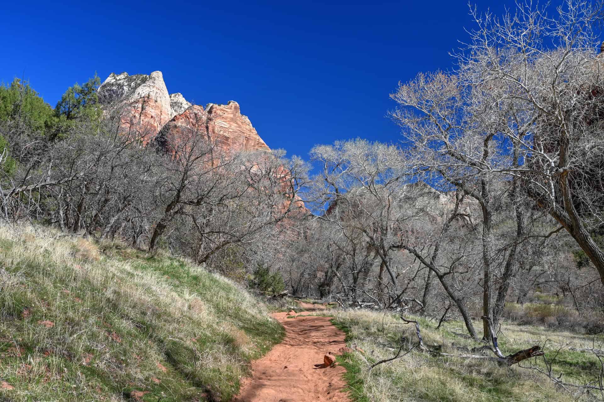 sand bench trail in zion